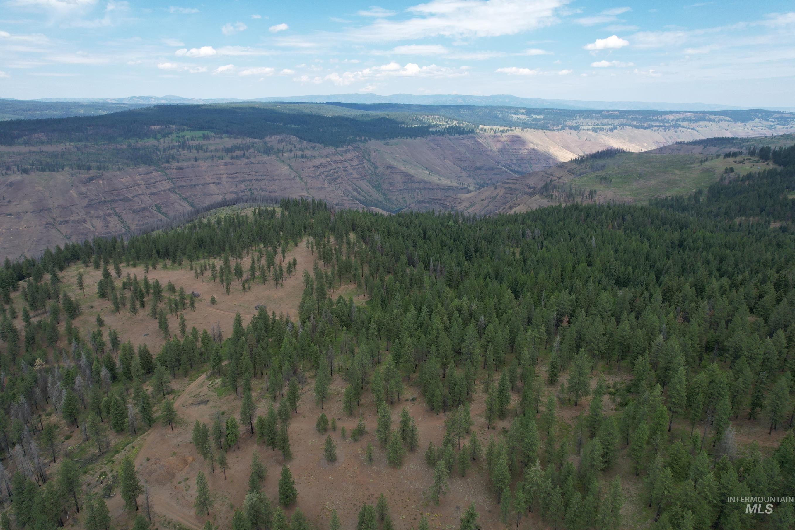 TBD Sickfoot Road, Wallowa, Oregon 97885, Land For Sale, Price $1,408,000, 98952990