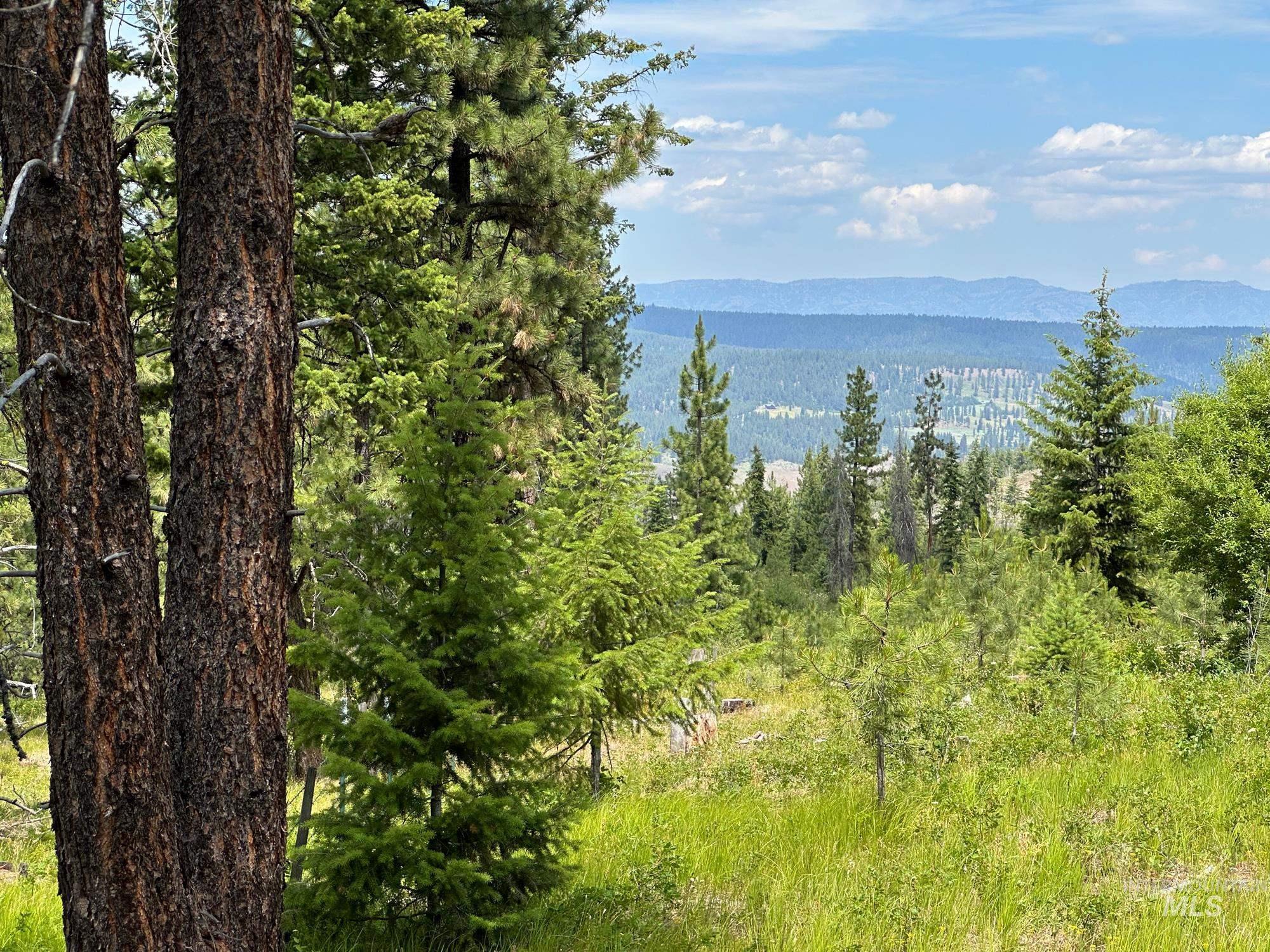 TBD Sickfoot Road, Wallowa, Oregon 97885, Land For Sale, Price $1,408,000, 98952990