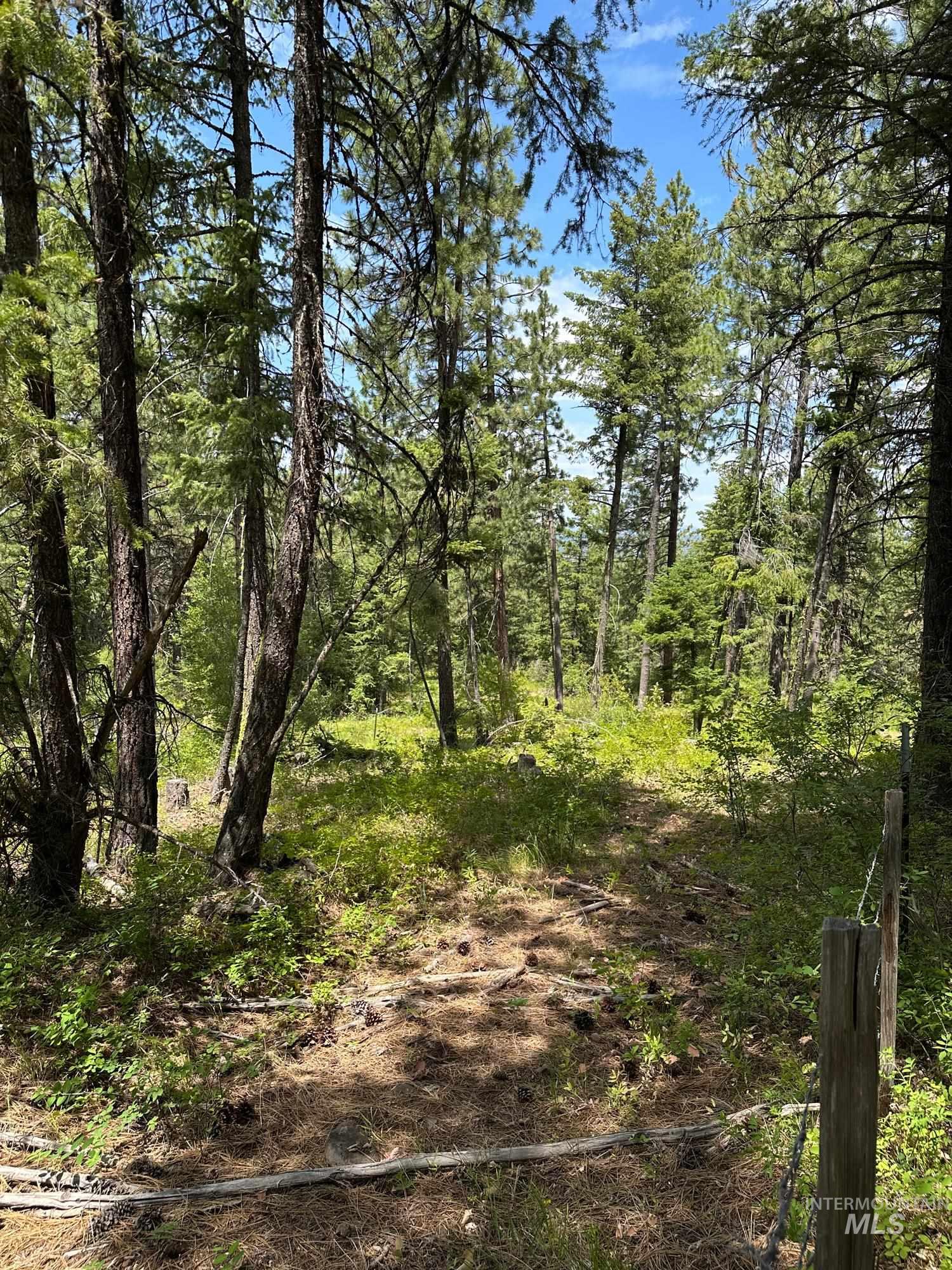 TBD Sickfoot Road, Wallowa, Oregon 97885, Land For Sale, Price $1,408,000, 98952990