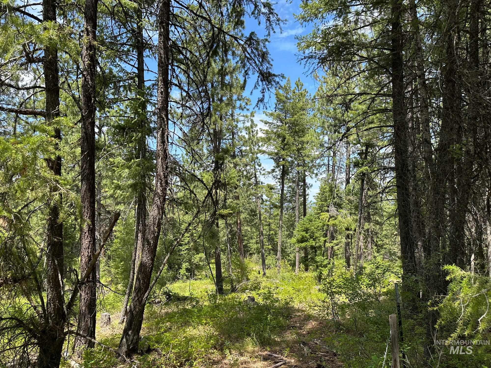 TBD Sickfoot Road, Wallowa, Oregon 97885, Land For Sale, Price $1,408,000, 98952990