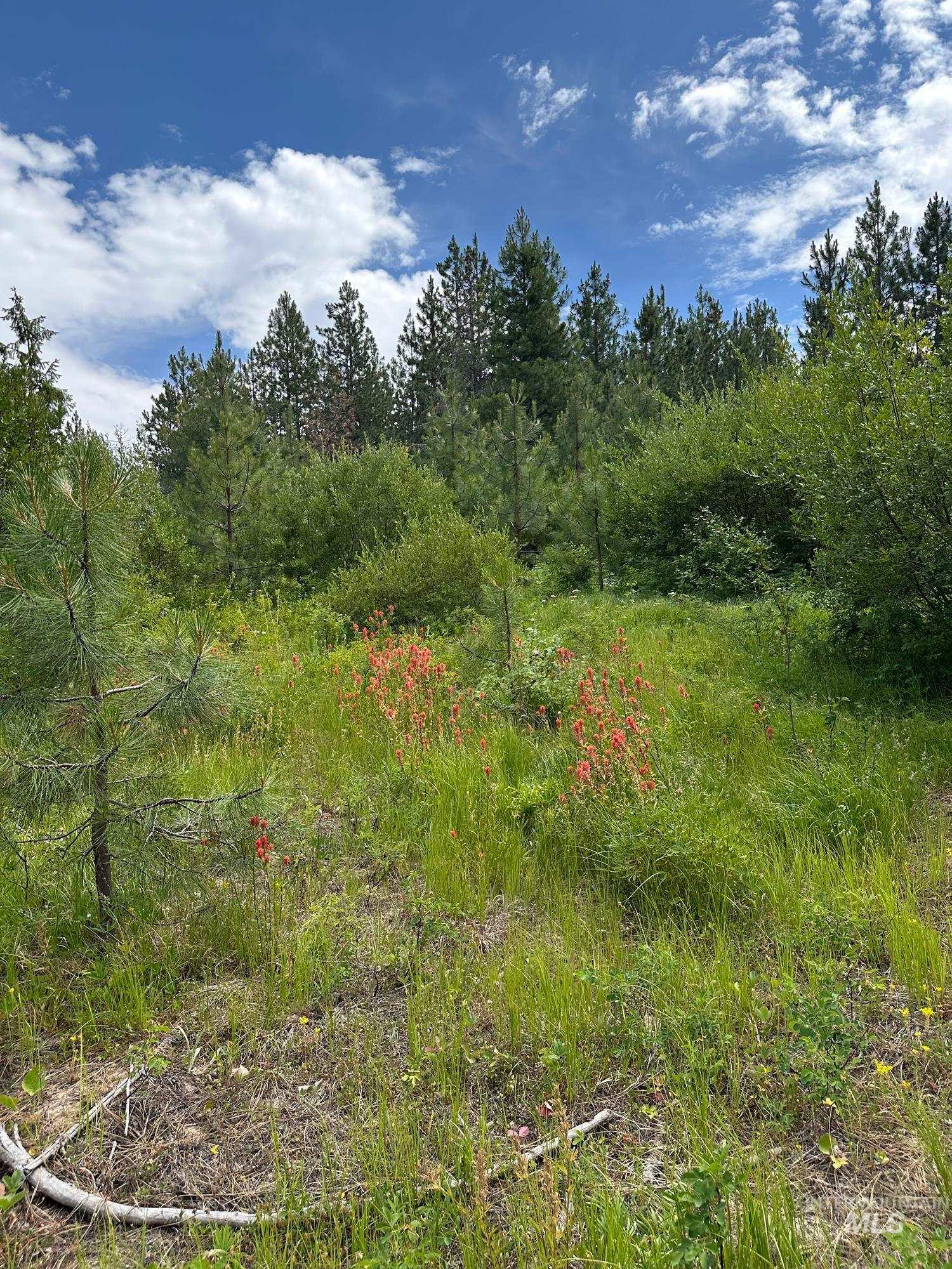 TBD Sickfoot Road, Wallowa, Oregon 97885, Land For Sale, Price $1,408,000, 98952990