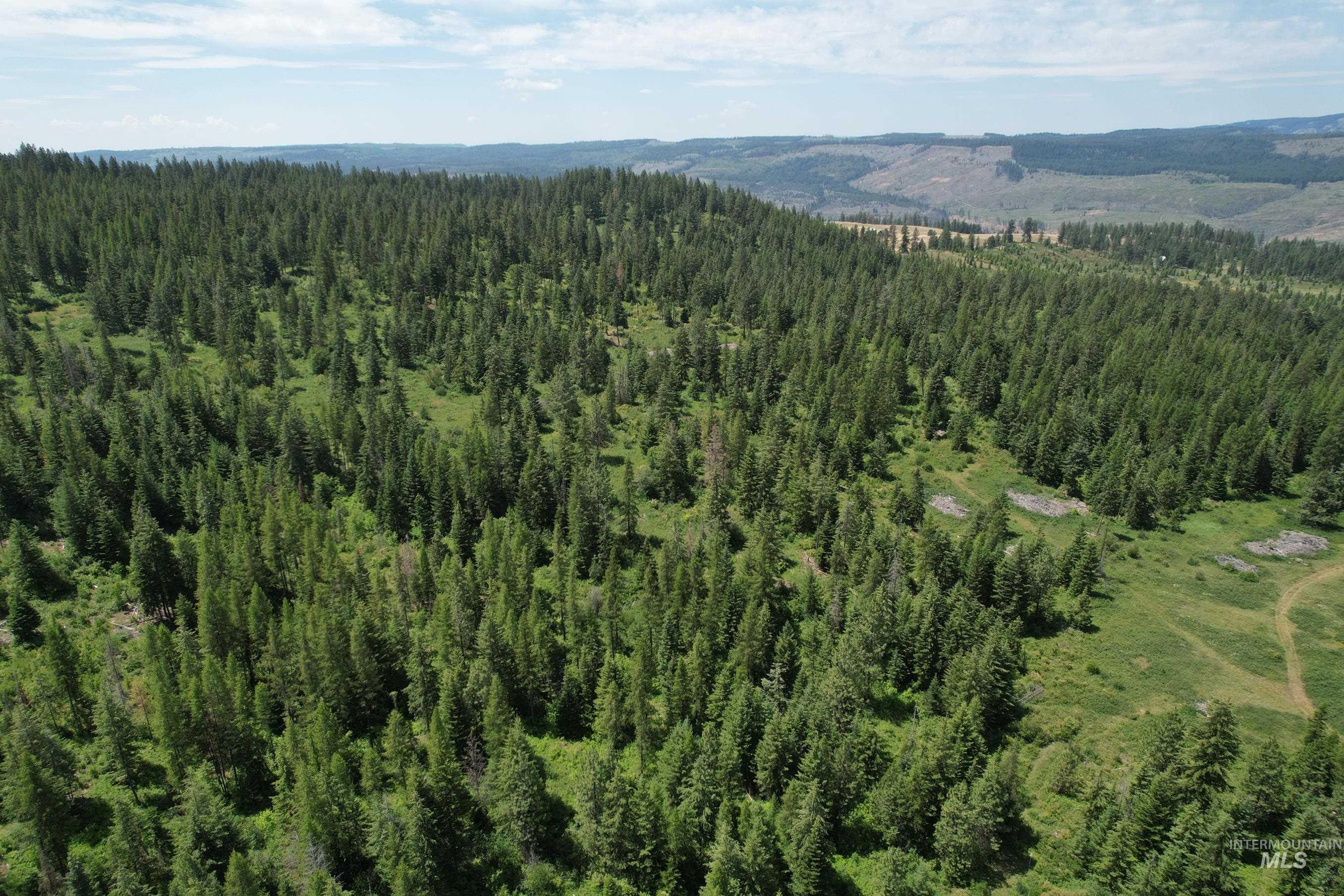 TBD Sickfoot Road, Wallowa, Oregon 97885, Land For Sale, Price $1,408,000, 98952990