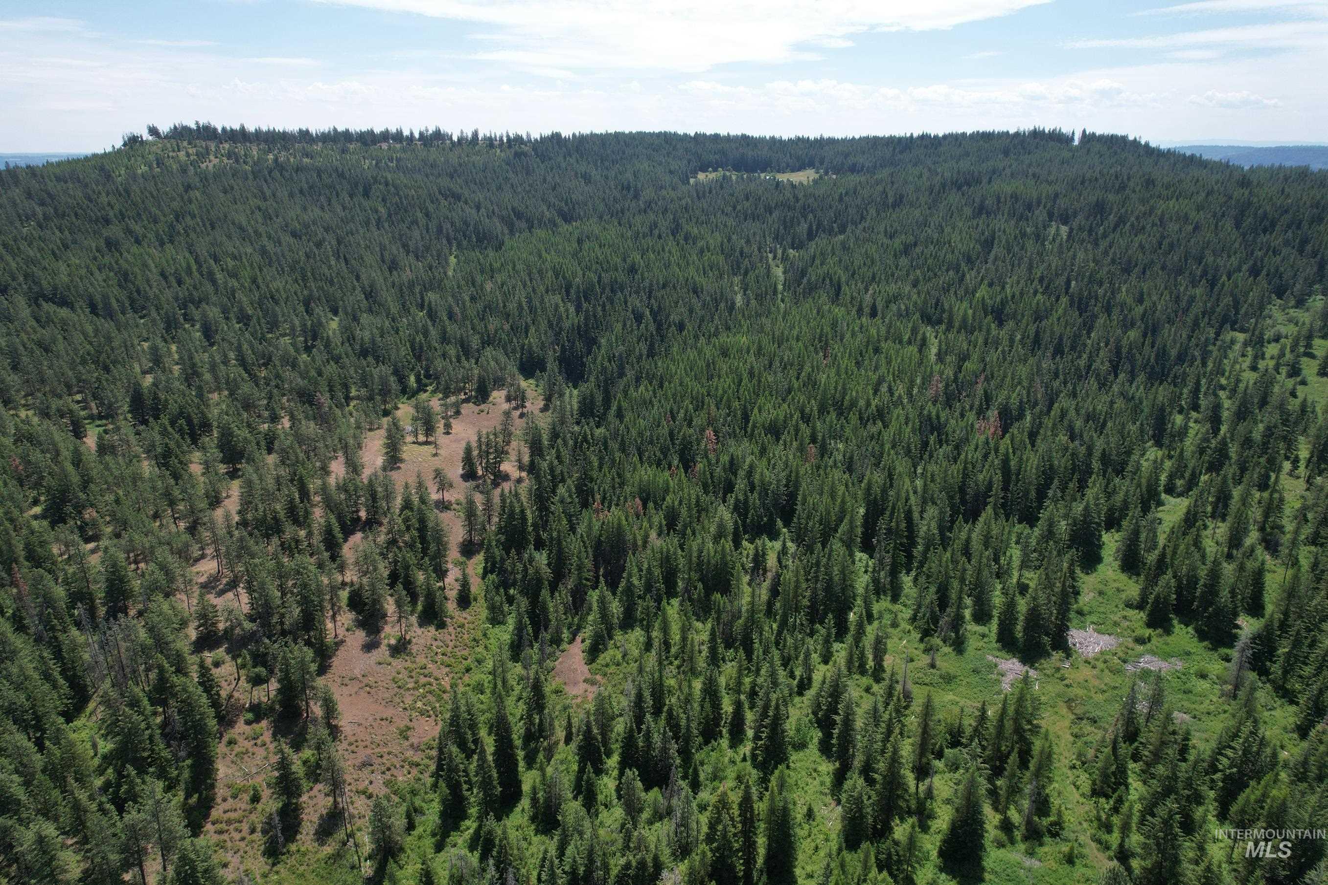 TBD Sickfoot Road, Wallowa, Oregon 97885, Land For Sale, Price $1,408,000, 98952990