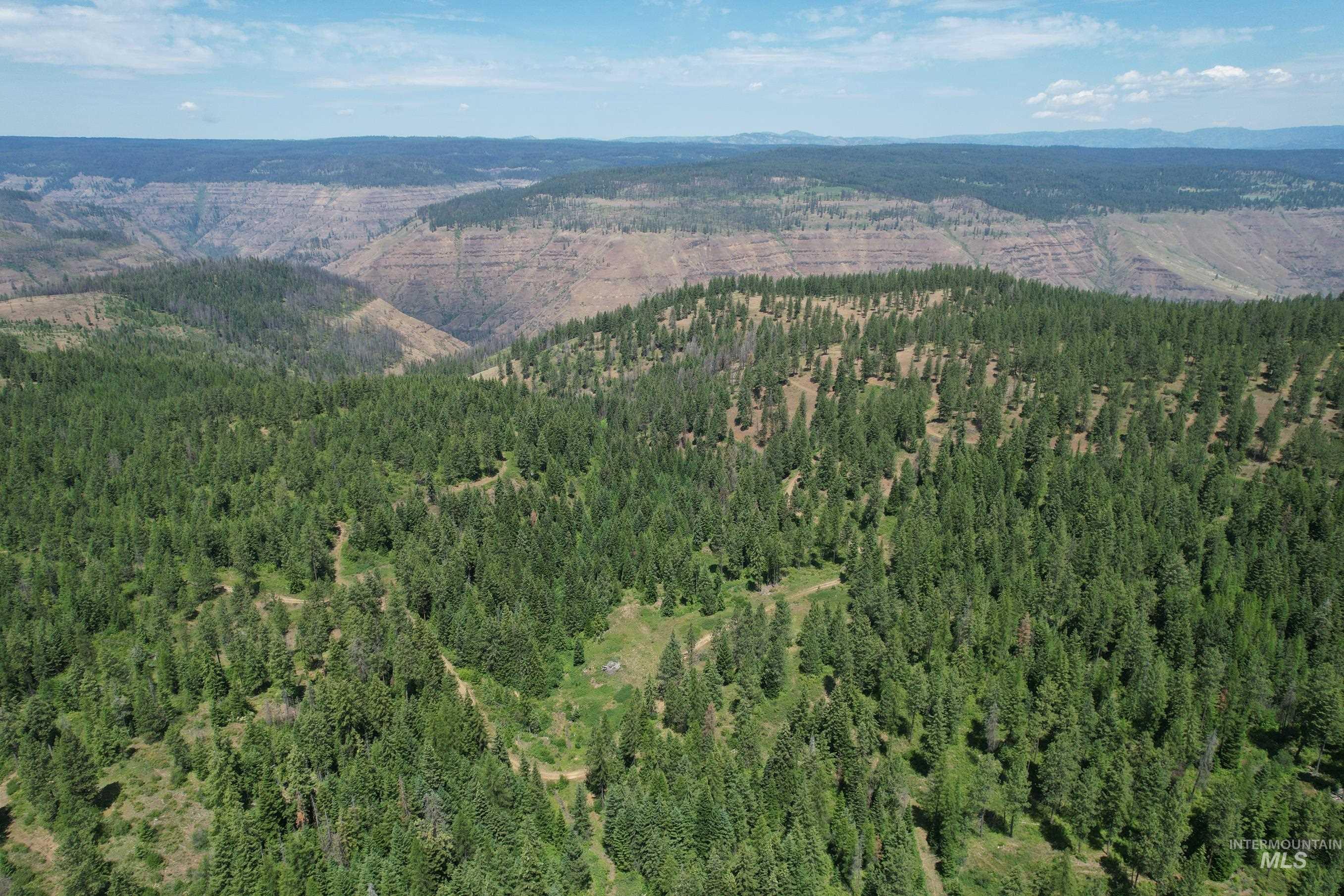 TBD Sickfoot Road, Wallowa, Oregon 97885, Land For Sale, Price $1,408,000, 98952990