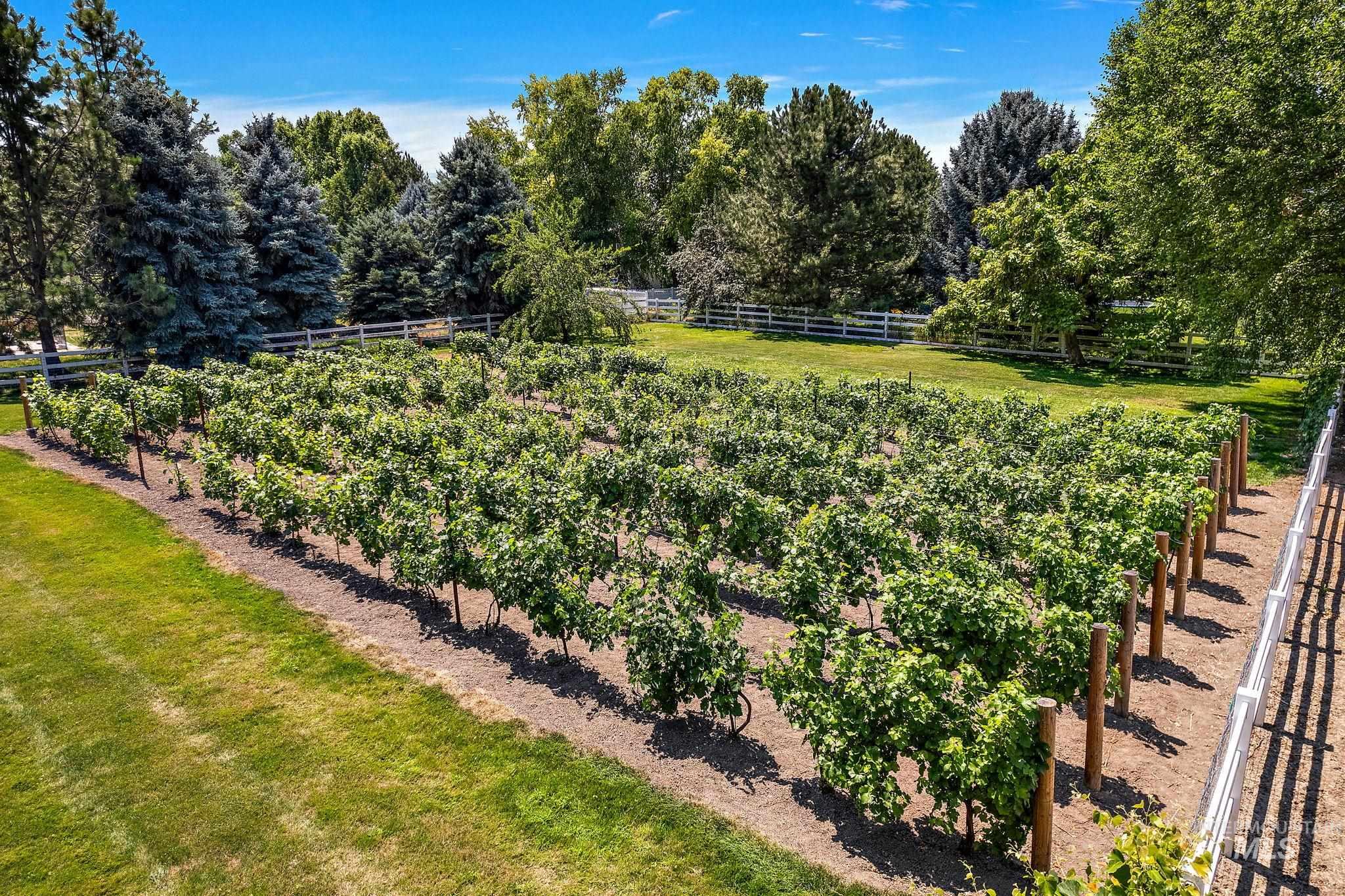 515 N Sierra View Dr, Eagle, Idaho 83616, 5 Bedrooms, 4.5 Bathrooms, Residential For Sale, Price $1,799,990,MLS 98953113