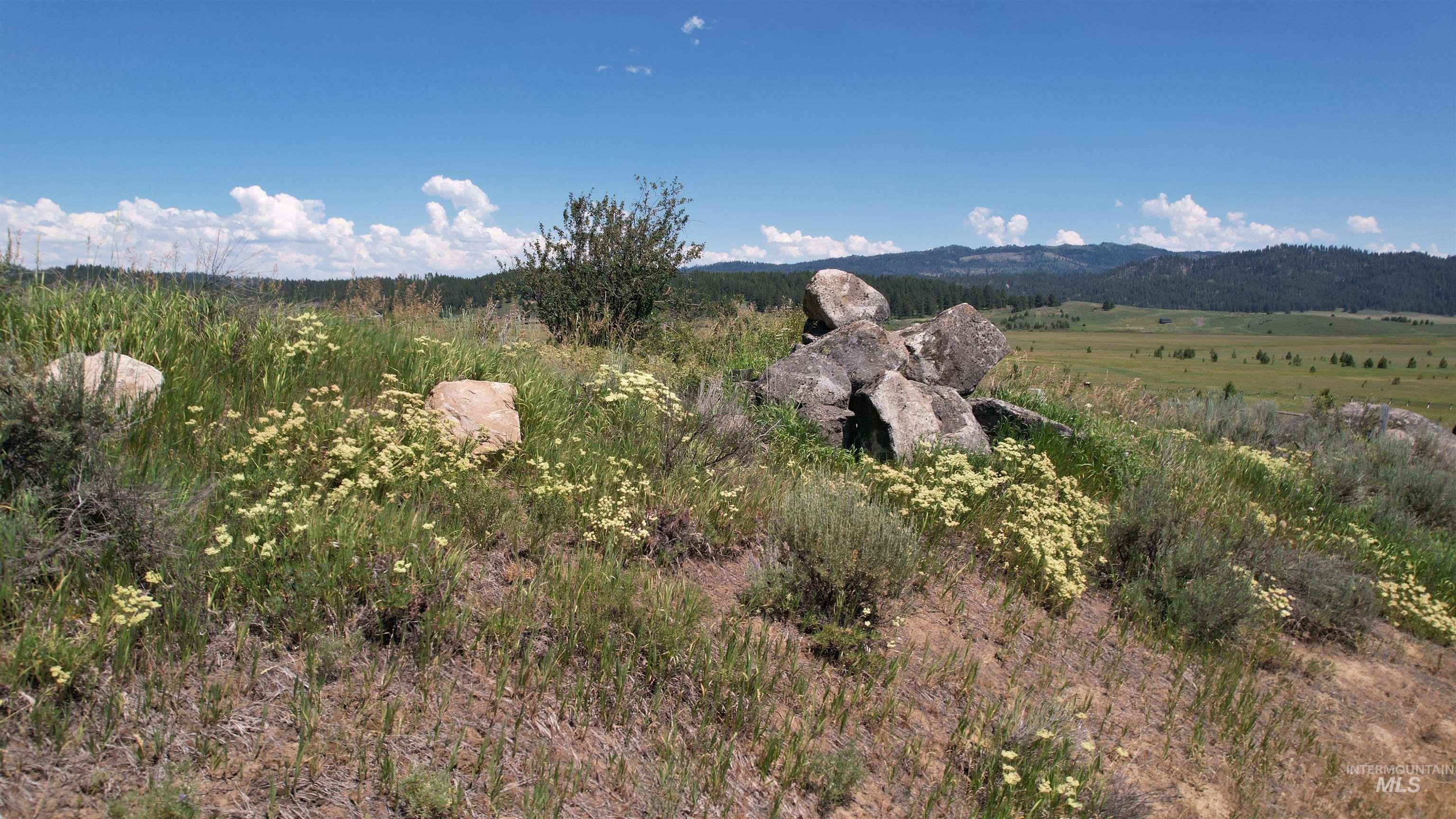 Lot 7 Wilderness Ranch lane, High Valley, Idaho 83611, Land For Sale, Price $149,000,MLS 98953247