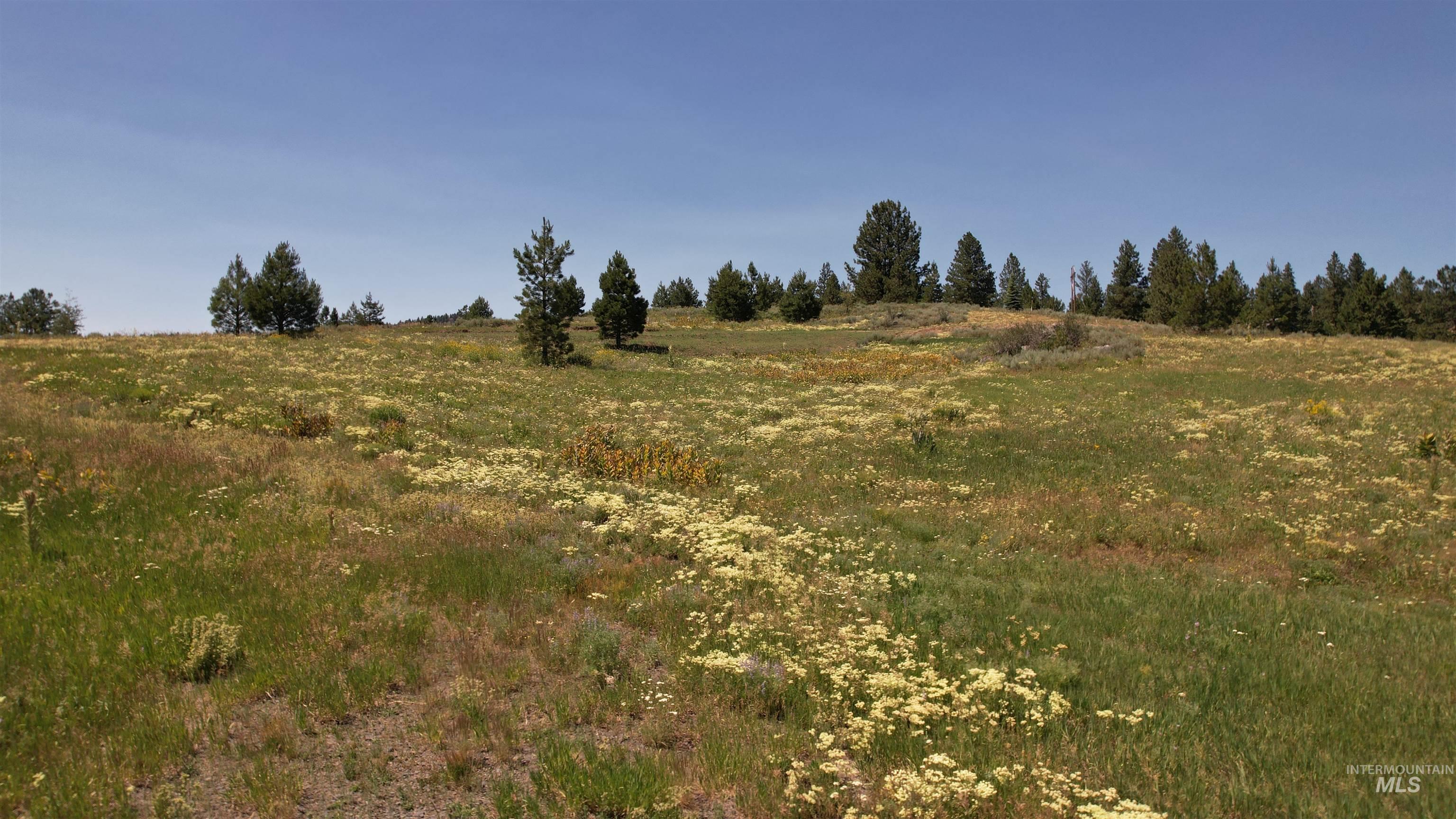 Lot 7 Wilderness Ranch lane, High Valley, Idaho 83611, Land For Sale, Price $149,000,MLS 98953247