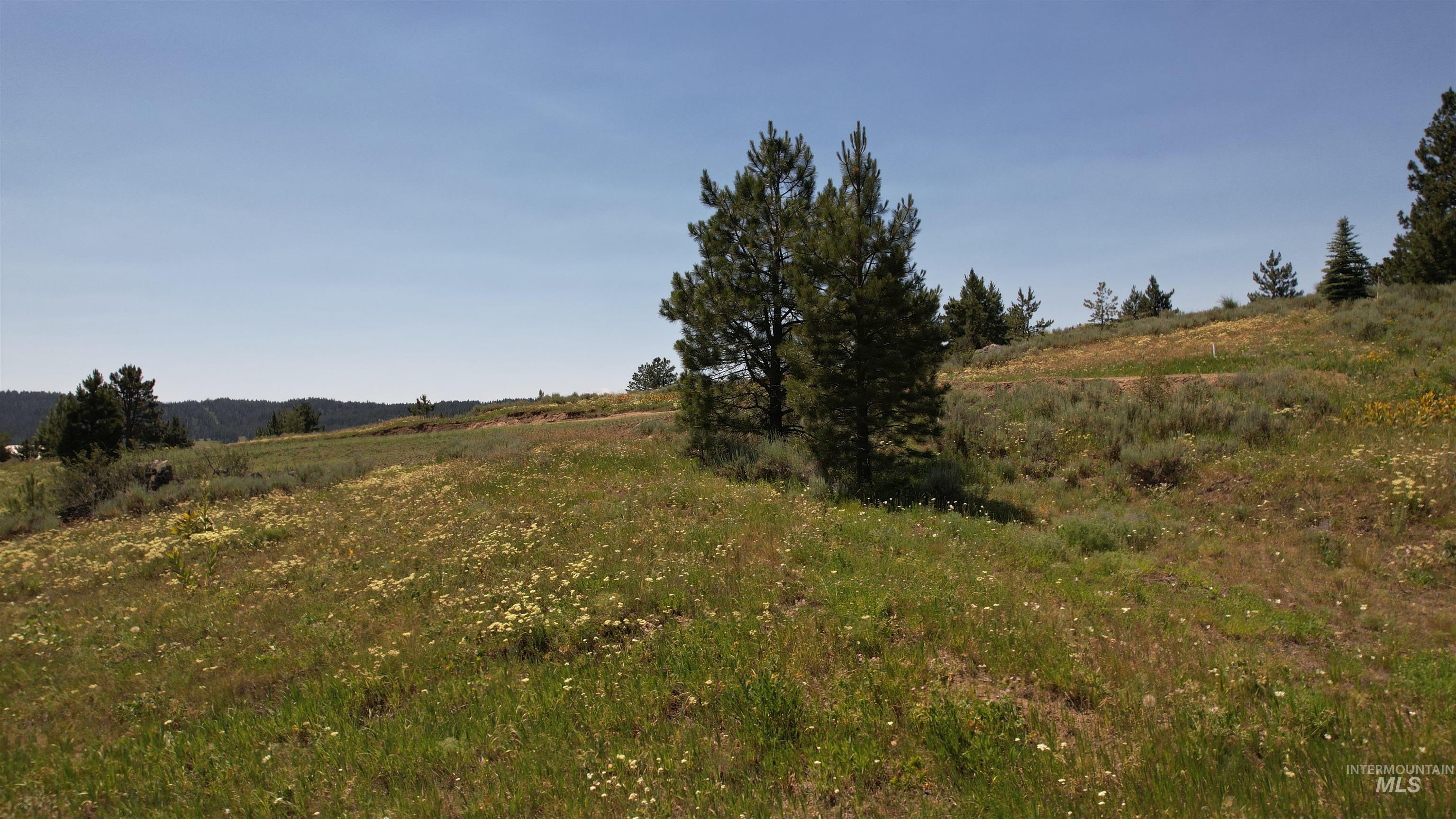 Lot 7 Wilderness Ranch lane, High Valley, Idaho 83611, Land For Sale, Price $149,000,MLS 98953247