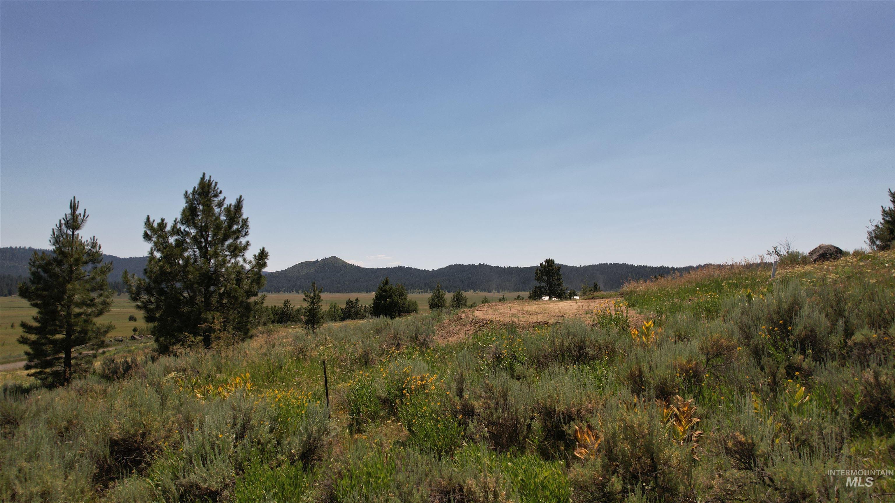 Lot 7 Wilderness Ranch lane, High Valley, Idaho 83611, Land For Sale, Price $149,000,MLS 98953247