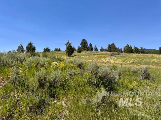 Lot 7 Wilderness Ranch lane, High Valley, Idaho 83611, Land For Sale, Price $149,000,MLS 98953247