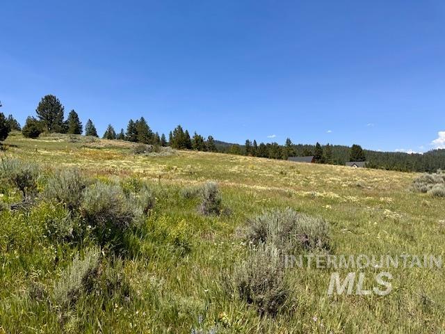 Lot 7 Wilderness Ranch lane, High Valley, Idaho 83611, Land For Sale, Price $149,000,MLS 98953247