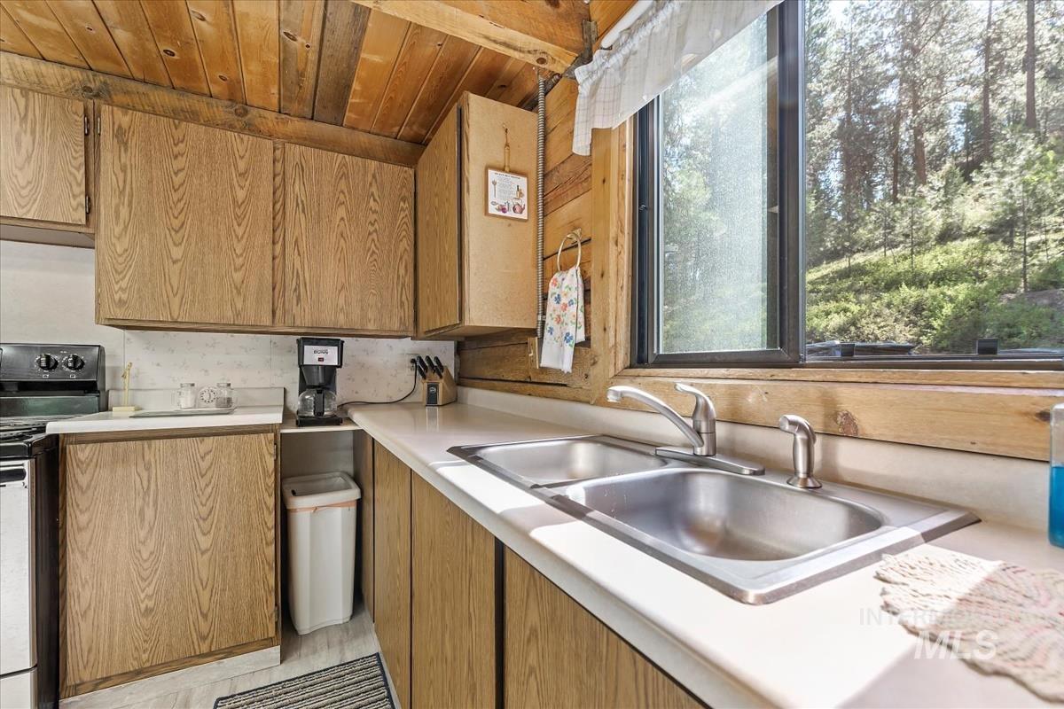 117 Alder Dr, Lowman, Idaho 83637, 4 Bedrooms, 2 Bathrooms, Residential For Sale, Price $575,000,MLS 98953414