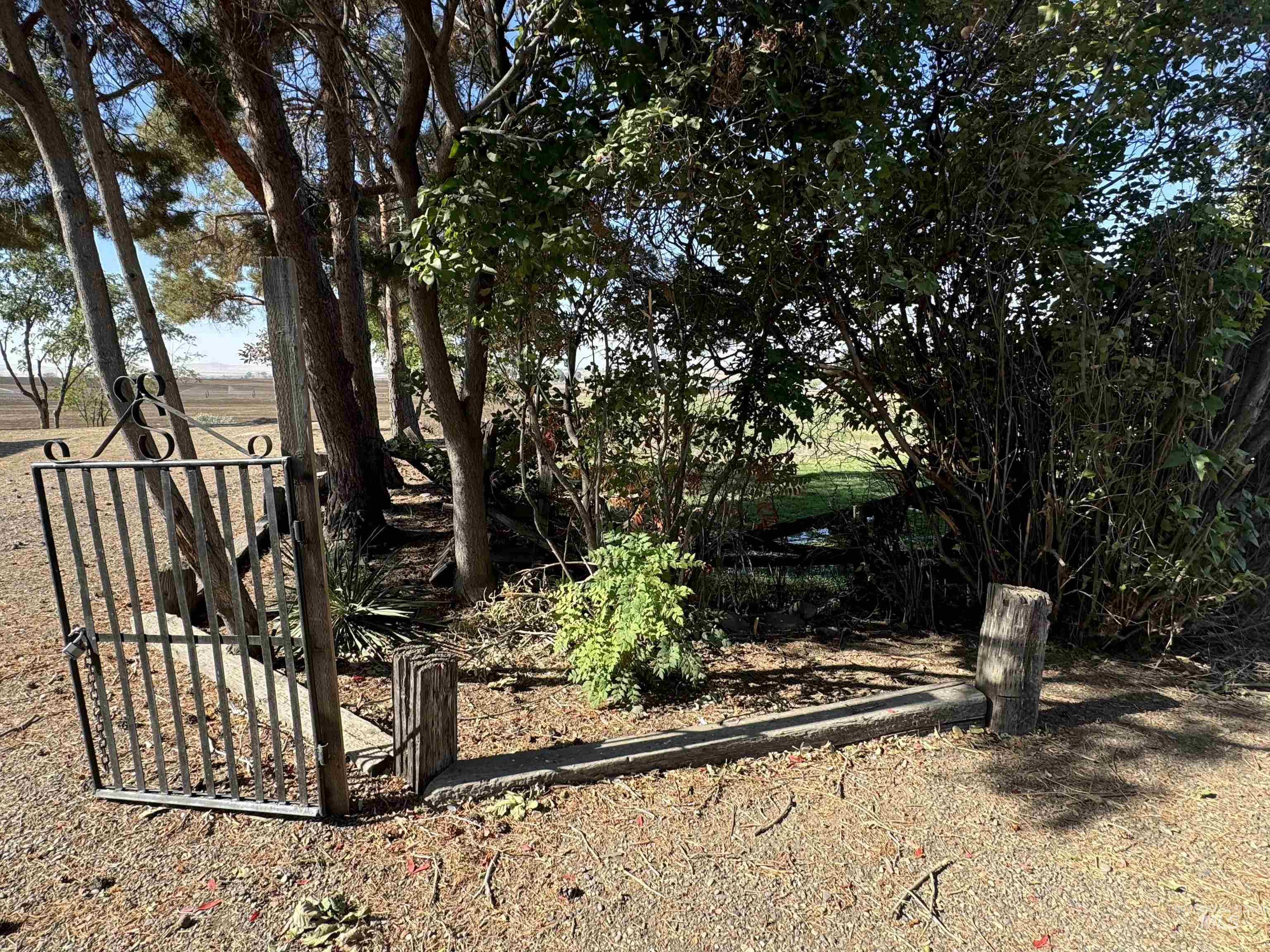 729 Morgan Ave, Ontario, Oregon 97914, 5 Bedrooms, 3 Bathrooms, Residential For Sale, Price $674,900, 98953445