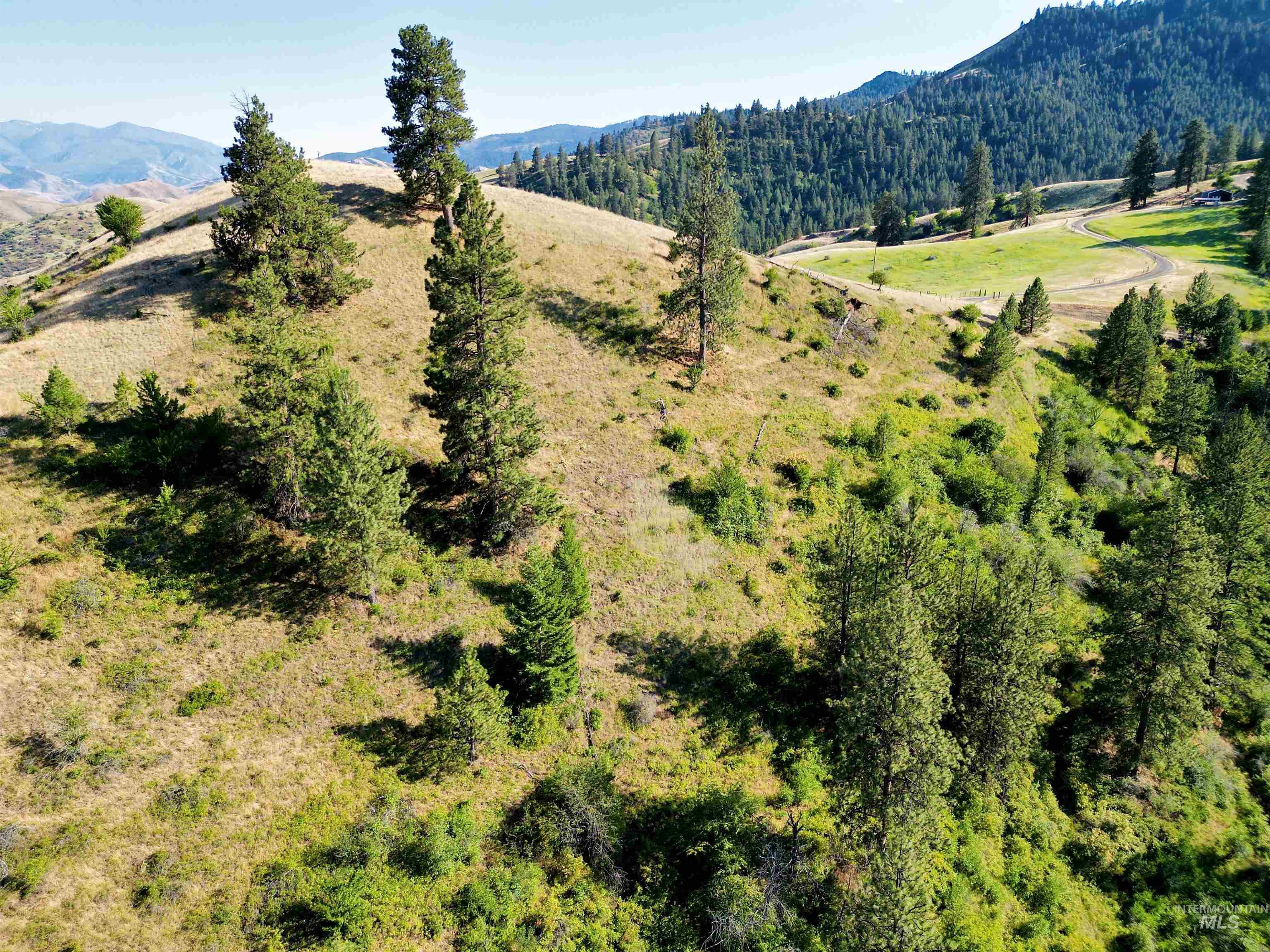TBD Saddle Ridge Road, White Bird, Idaho 83554, Land For Sale, Price $225,000, 98953451