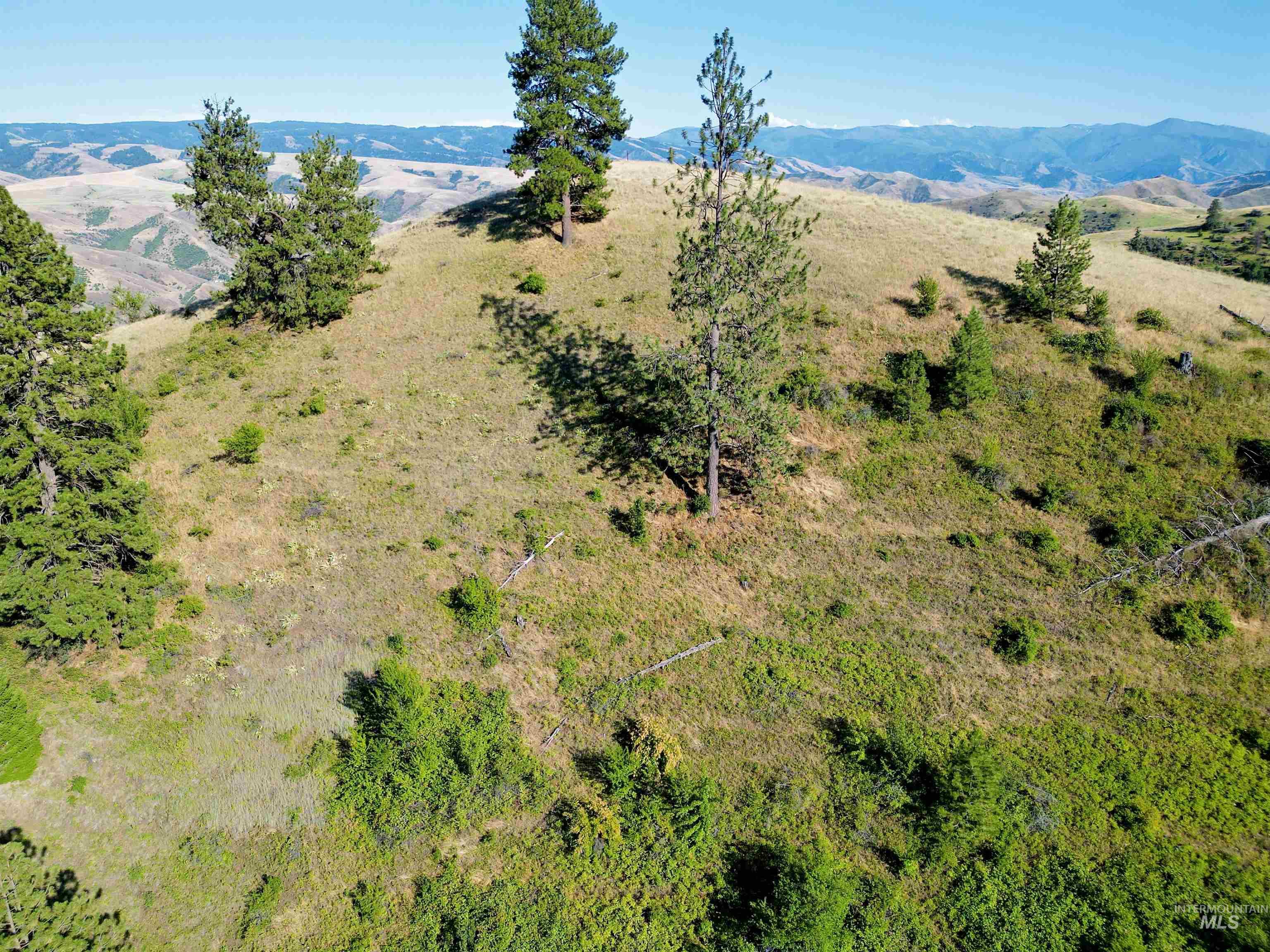 TBD Saddle Ridge Road, White Bird, Idaho 83554, Land For Sale, Price $225,000, 98953451