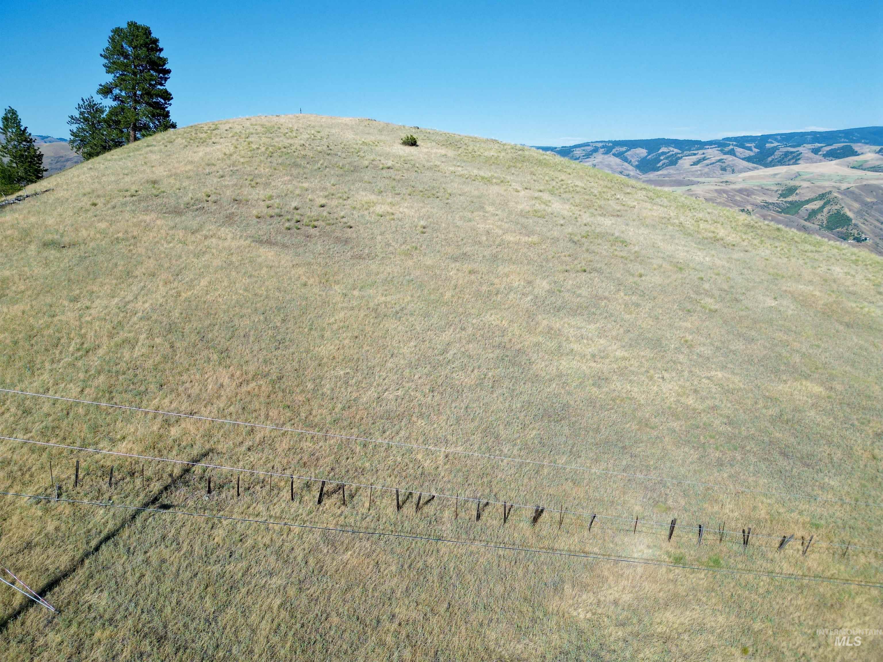 TBD Saddle Ridge Road, White Bird, Idaho 83554, Land For Sale, Price $225,000, 98953451