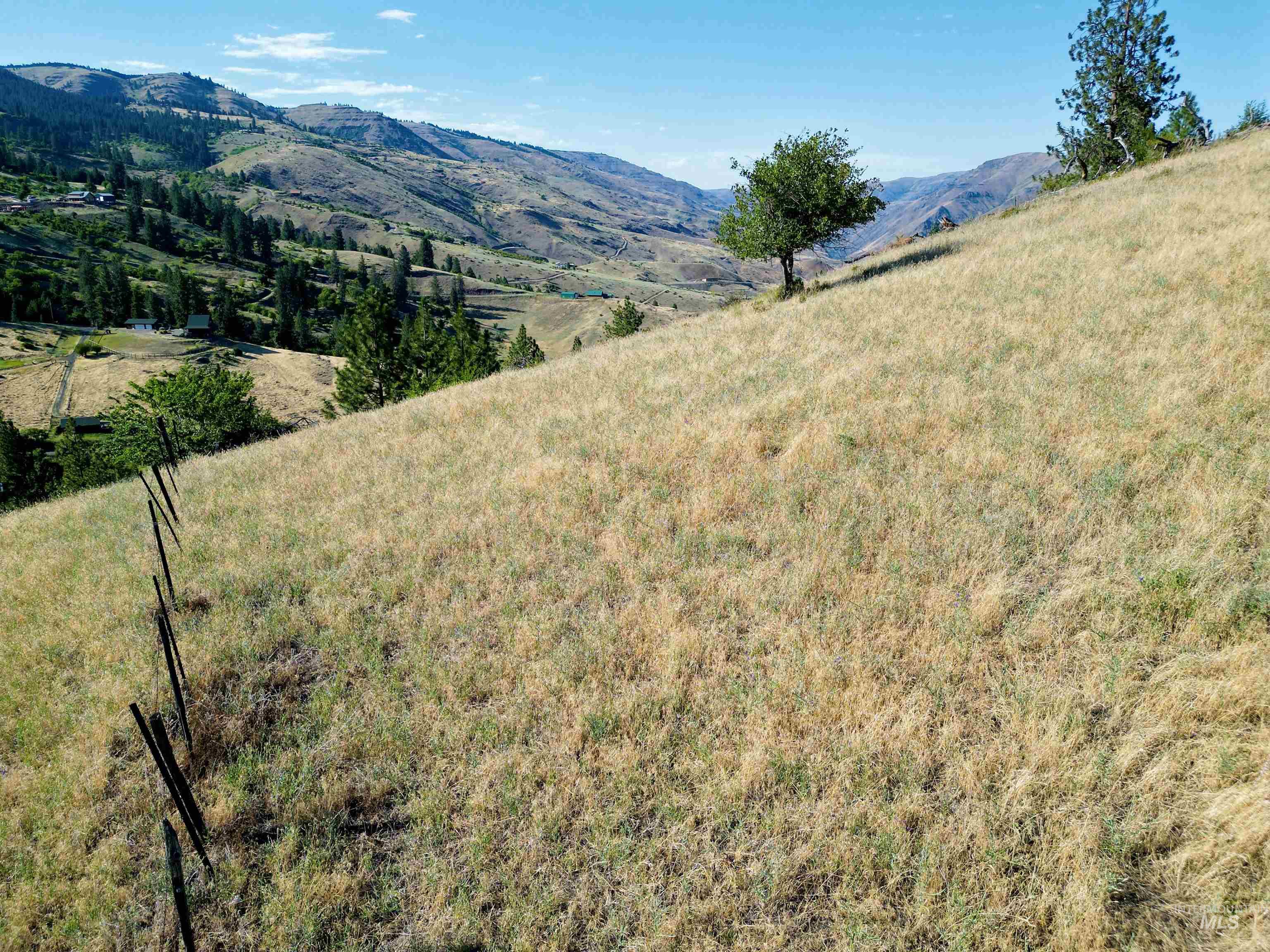 TBD Saddle Ridge Road, White Bird, Idaho 83554, Land For Sale, Price $225,000, 98953451