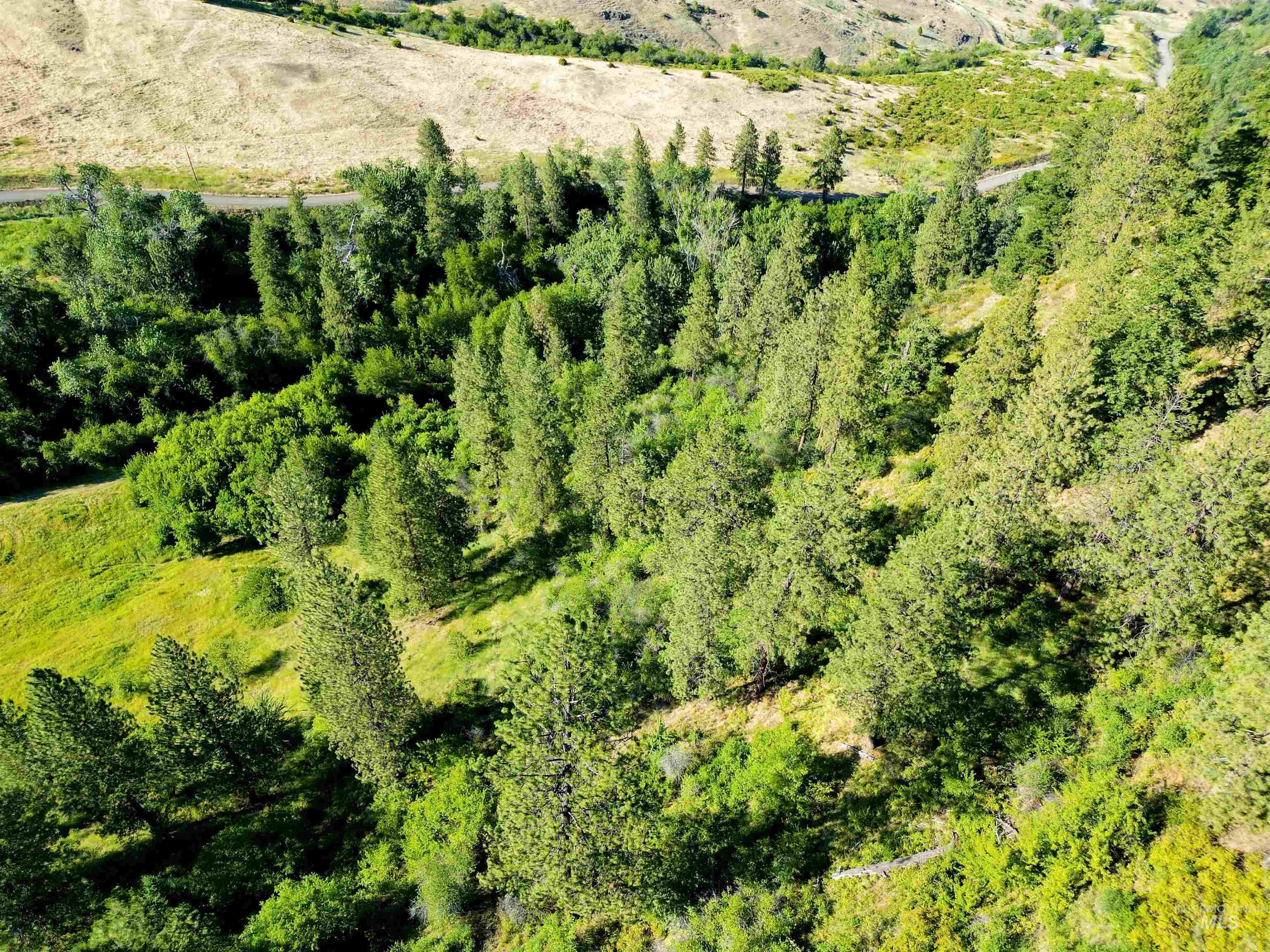 TBD Saddle Ridge Road, White Bird, Idaho 83554, Land For Sale, Price $225,000, 98953451