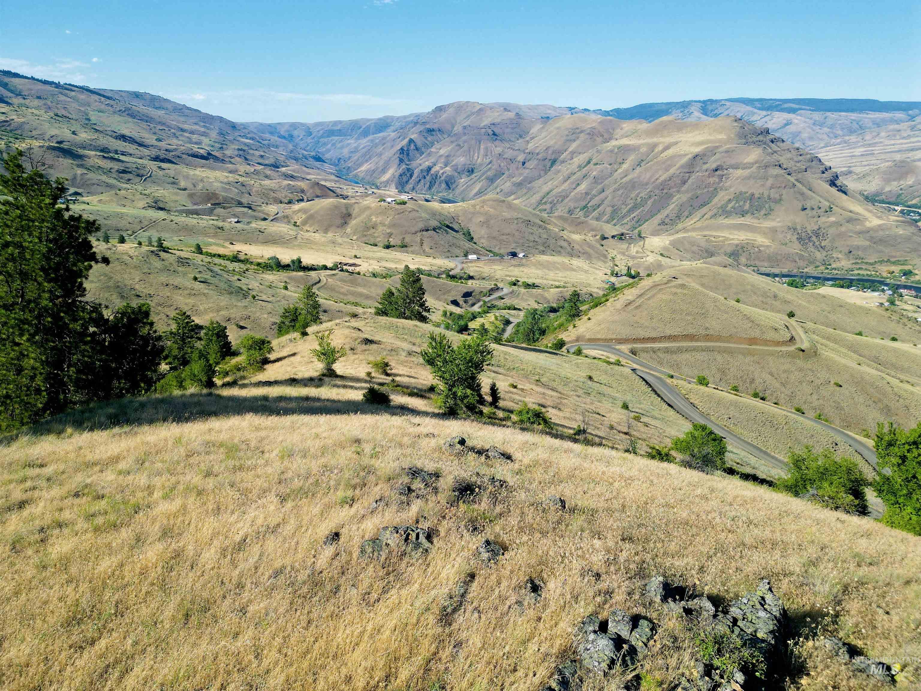 TBD Saddle Ridge Road, White Bird, Idaho 83554, Land For Sale, Price $225,000, 98953451