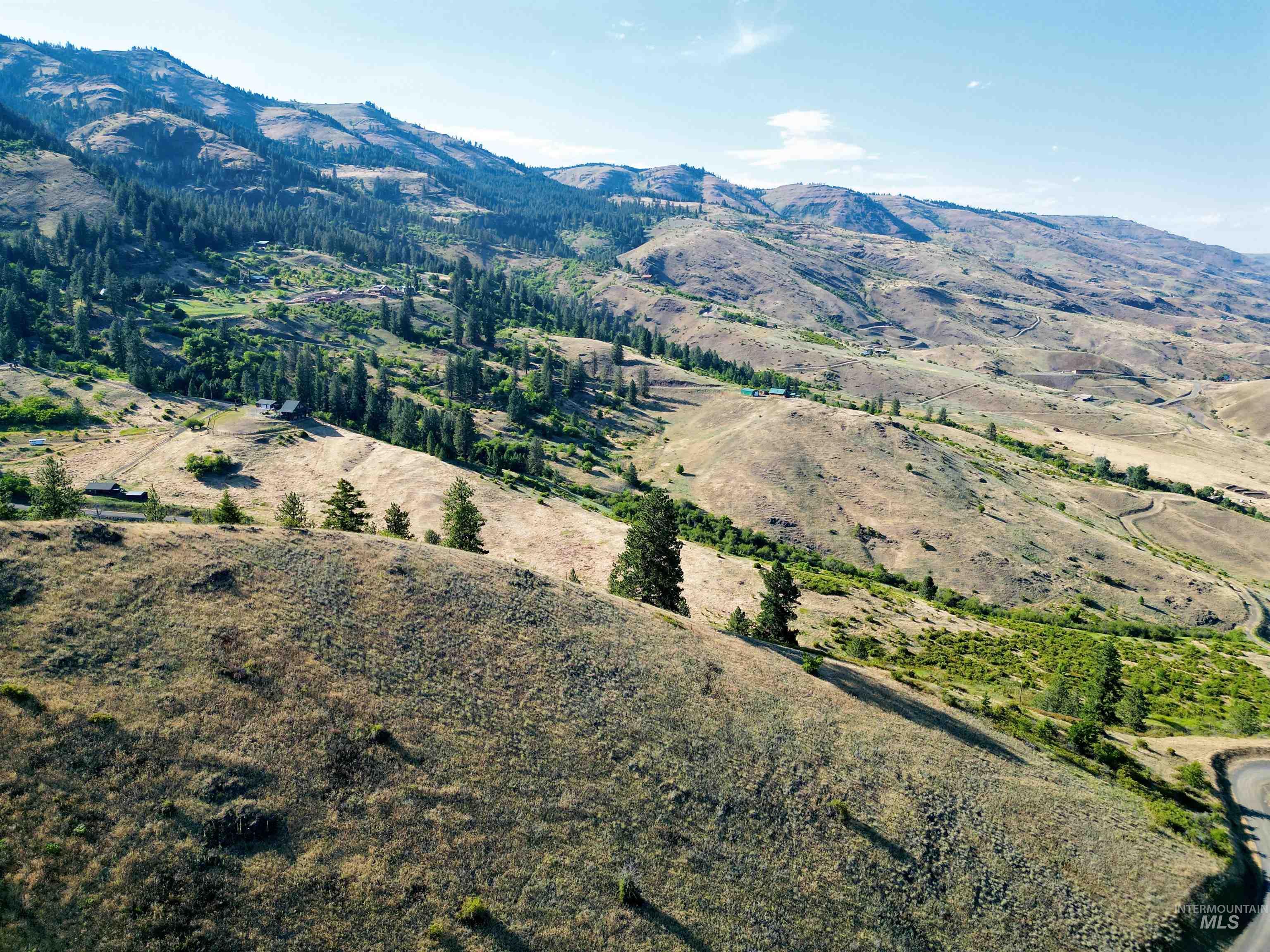 TBD Saddle Ridge Road, White Bird, Idaho 83554, Land For Sale, Price $225,000, 98953451