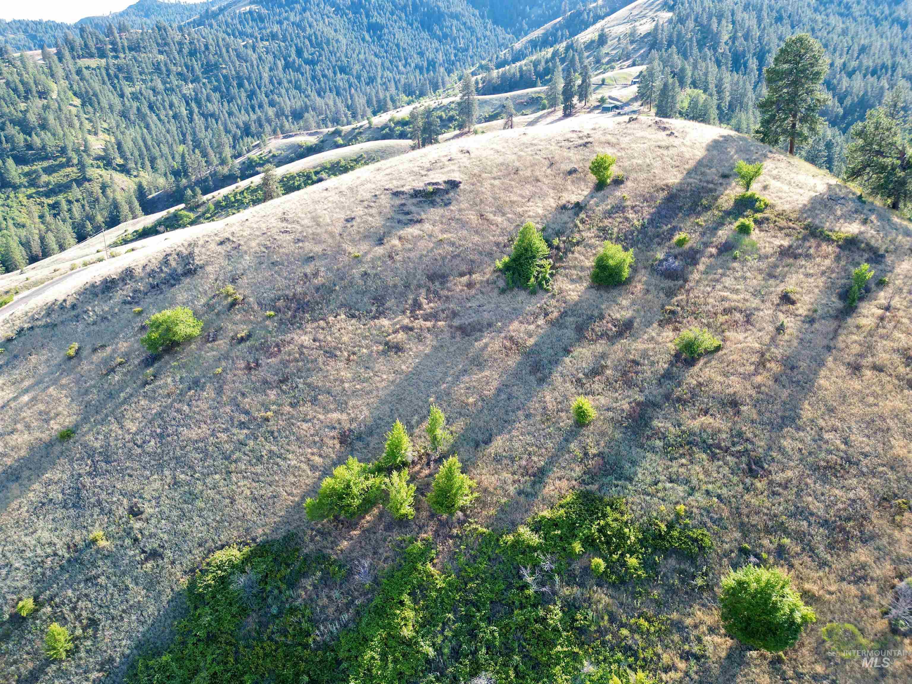 TBD Saddle Ridge Road, White Bird, Idaho 83554, Land For Sale, Price $225,000, 98953451