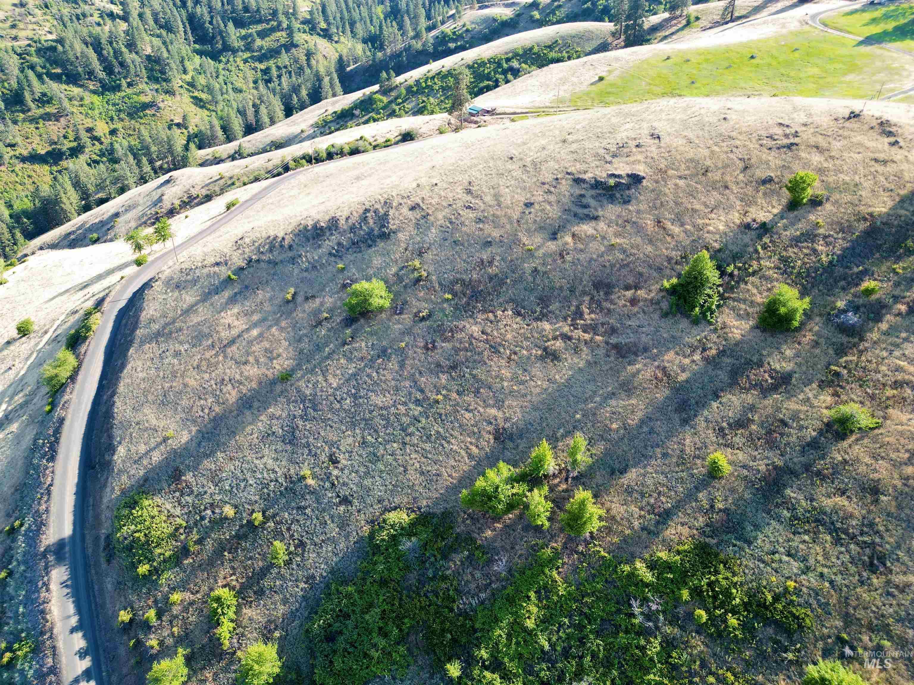 TBD Saddle Ridge Road, White Bird, Idaho 83554, Land For Sale, Price $225,000, 98953451