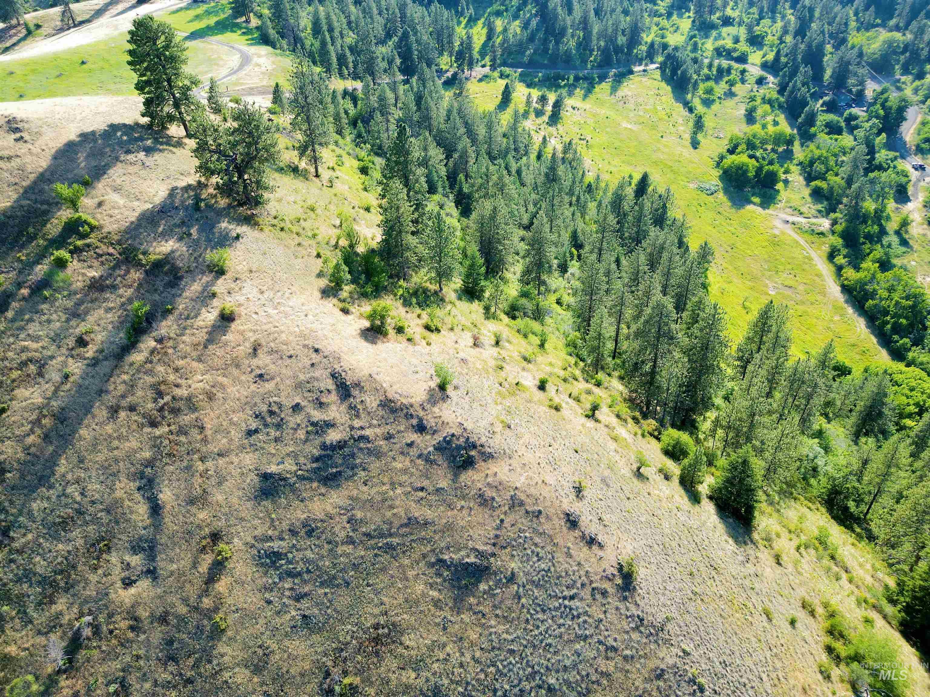 TBD Saddle Ridge Road, White Bird, Idaho 83554, Land For Sale, Price $225,000, 98953451