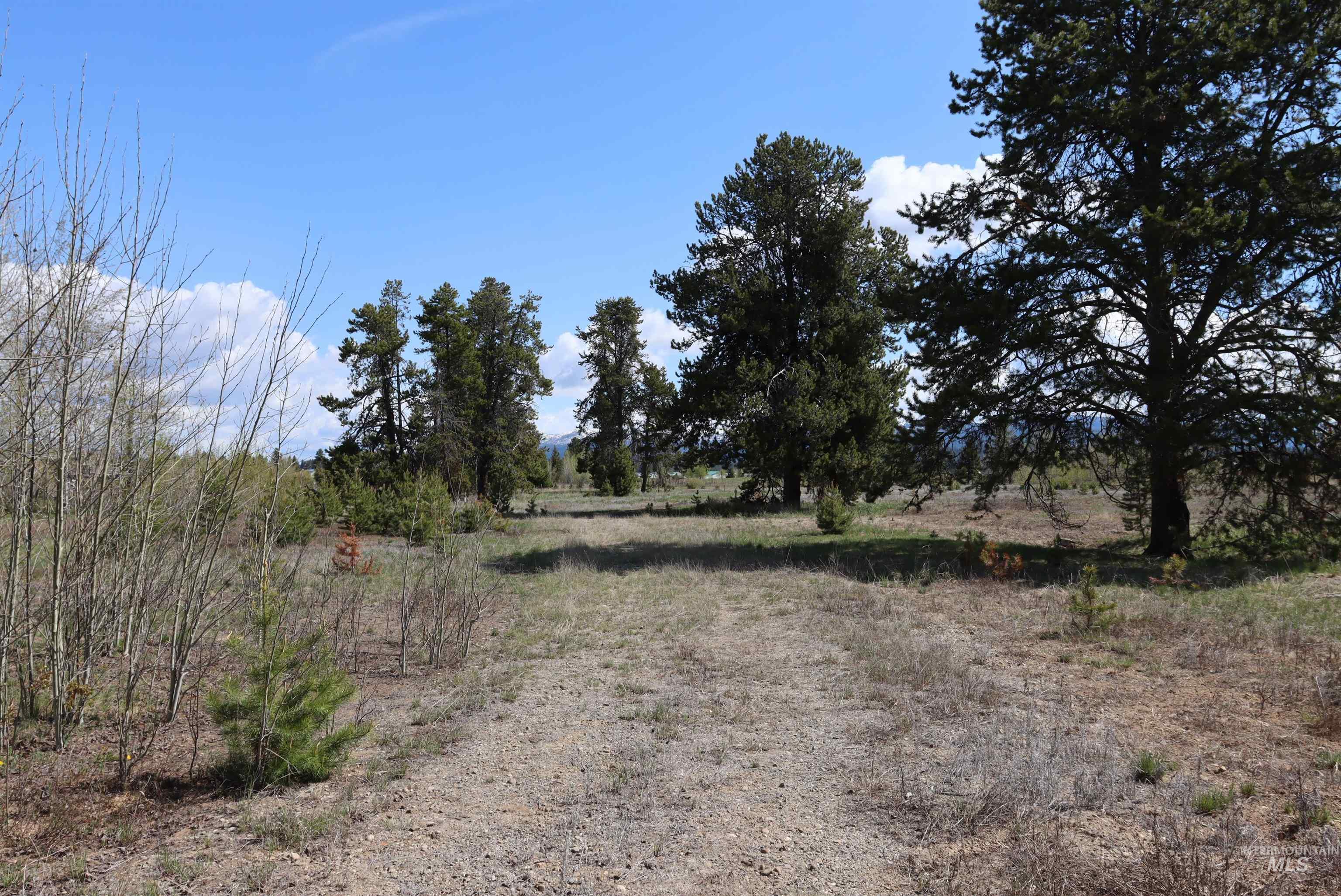287 Rawhide Loop, McCall, Idaho 83638, Land For Sale, Price $418,500, 98953521