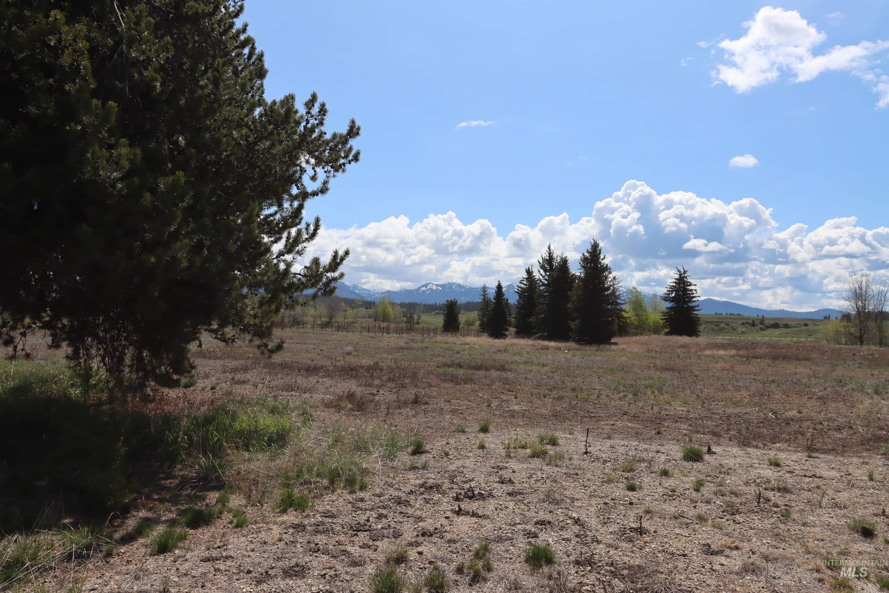 287 Rawhide Loop, McCall, Idaho 83638, Land For Sale, Price $418,500, 98953521