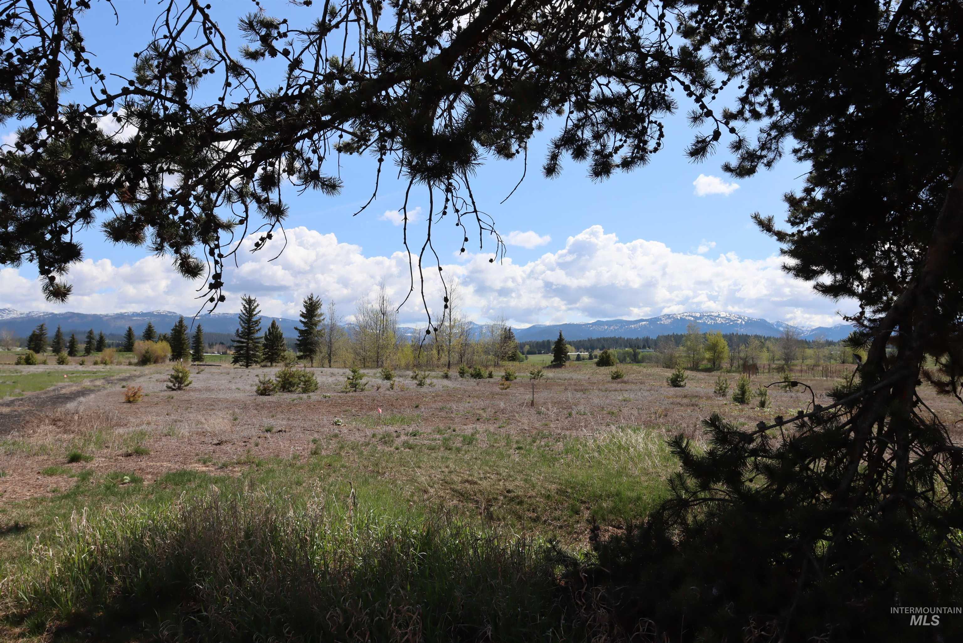 287 Rawhide Loop, McCall, Idaho 83638, Land For Sale, Price $418,500, 98953521