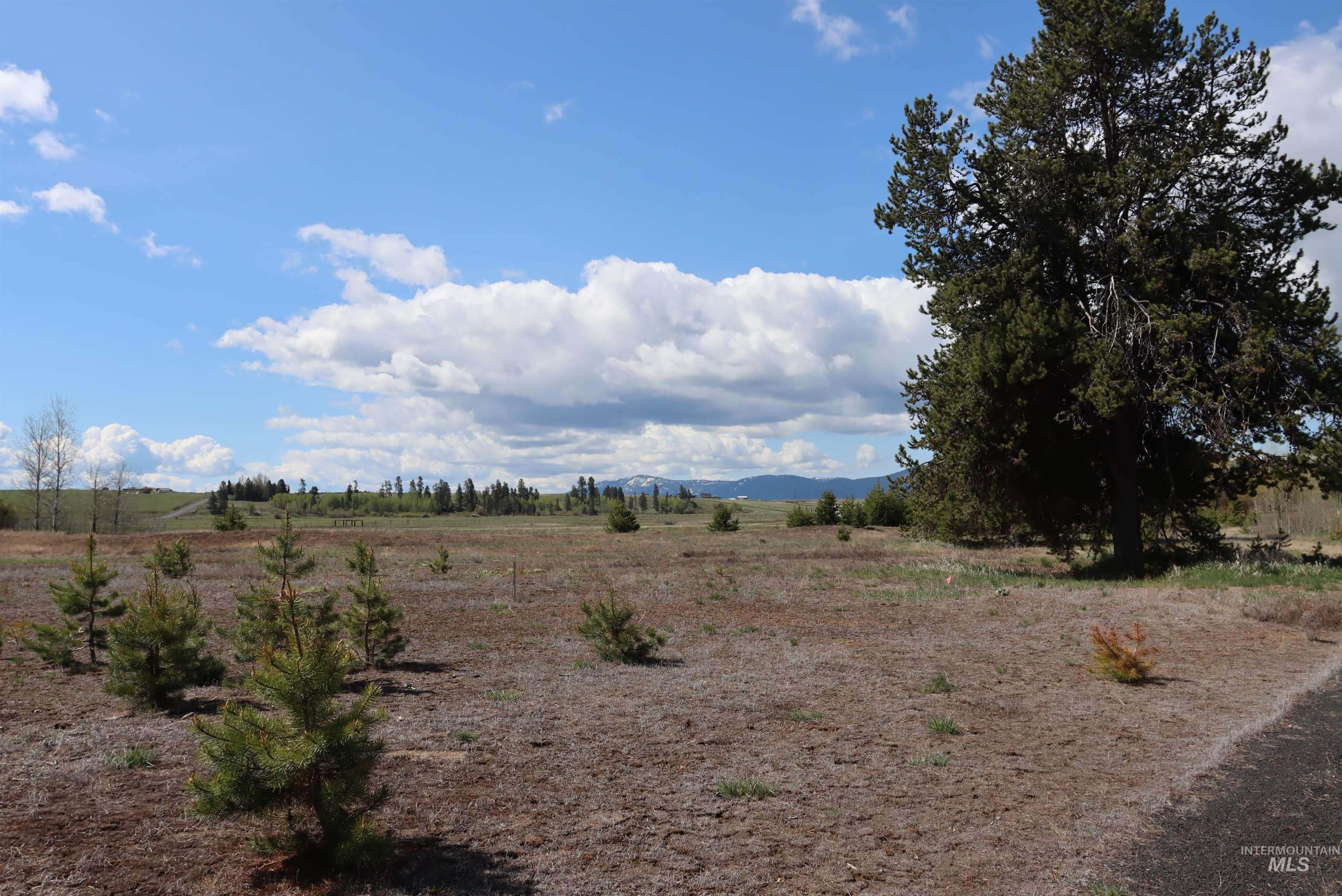 287 Rawhide Loop, McCall, Idaho 83638, Land For Sale, Price $418,500, 98953521