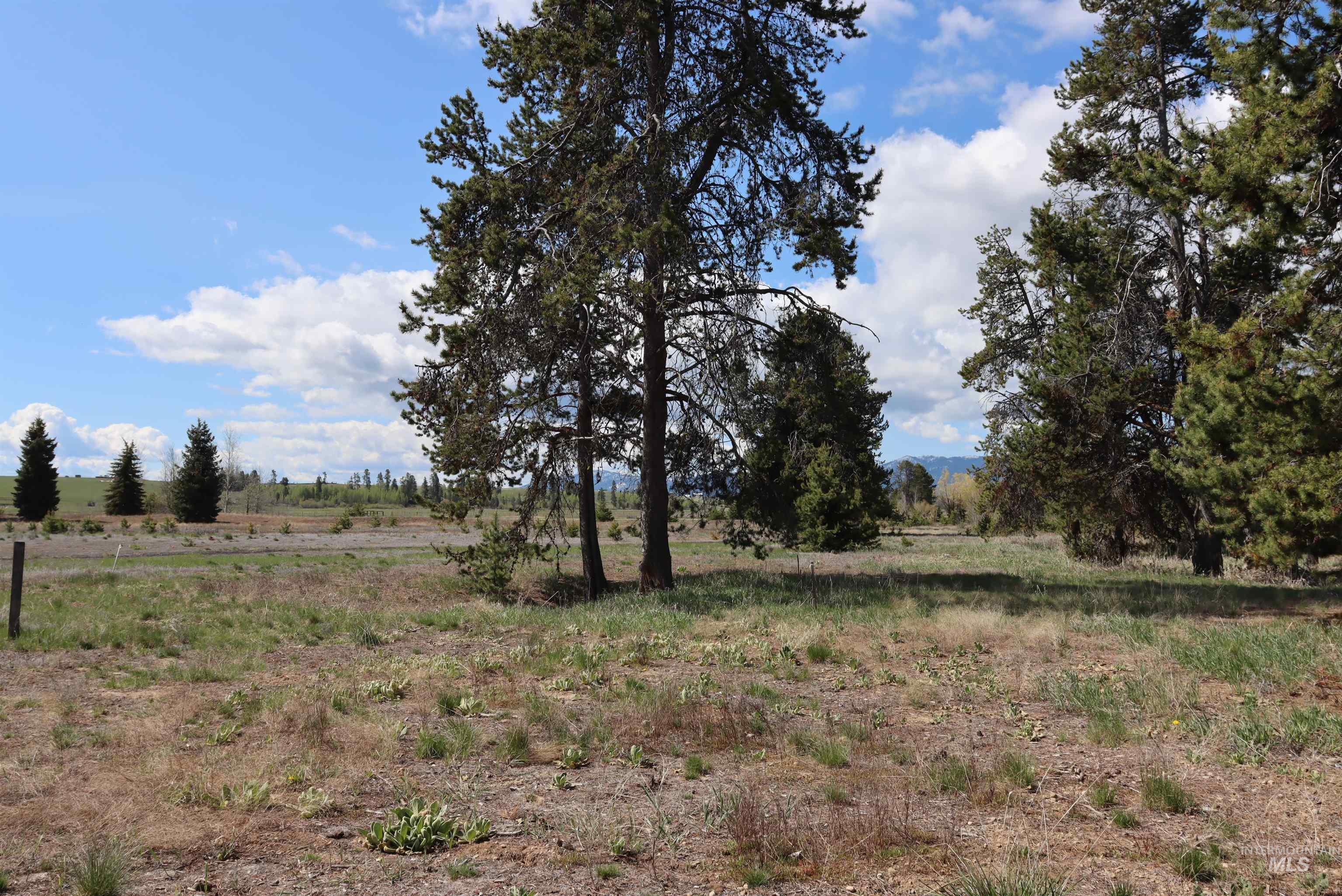 287 Rawhide Loop, McCall, Idaho 83638, Land For Sale, Price $418,500, 98953521