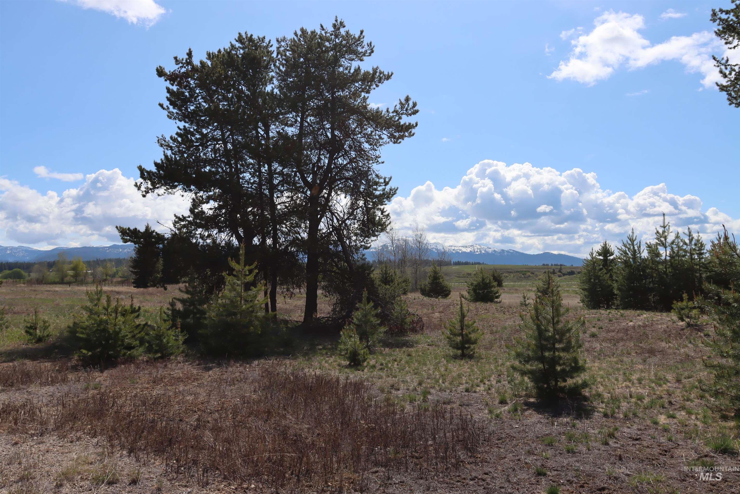 287 Rawhide Loop, McCall, Idaho 83638, Land For Sale, Price $418,500, 98953521