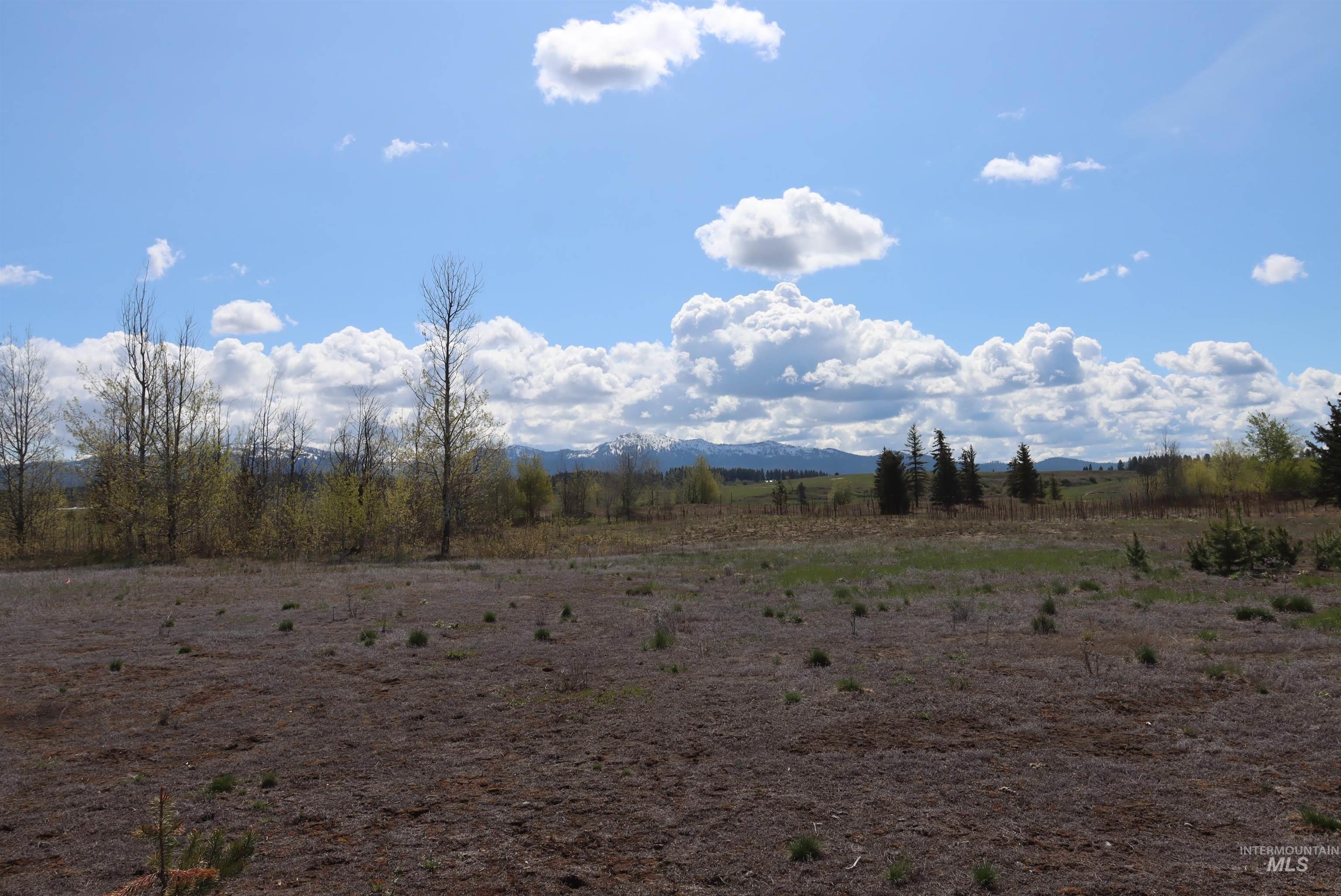 287 Rawhide Loop, McCall, Idaho 83638, Land For Sale, Price $418,500, 98953521