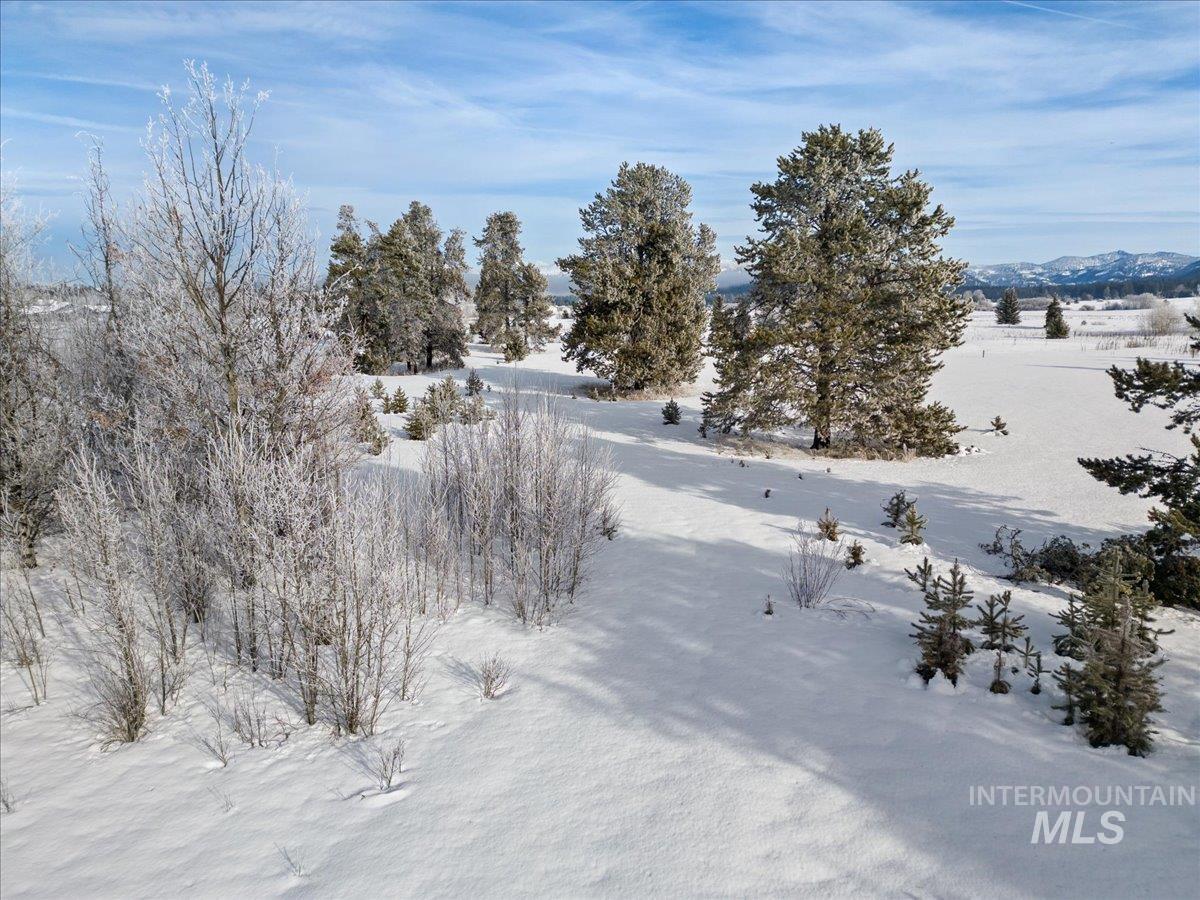 287 Rawhide Loop, McCall, Idaho 83638, Land For Sale, Price $418,500, 98953521