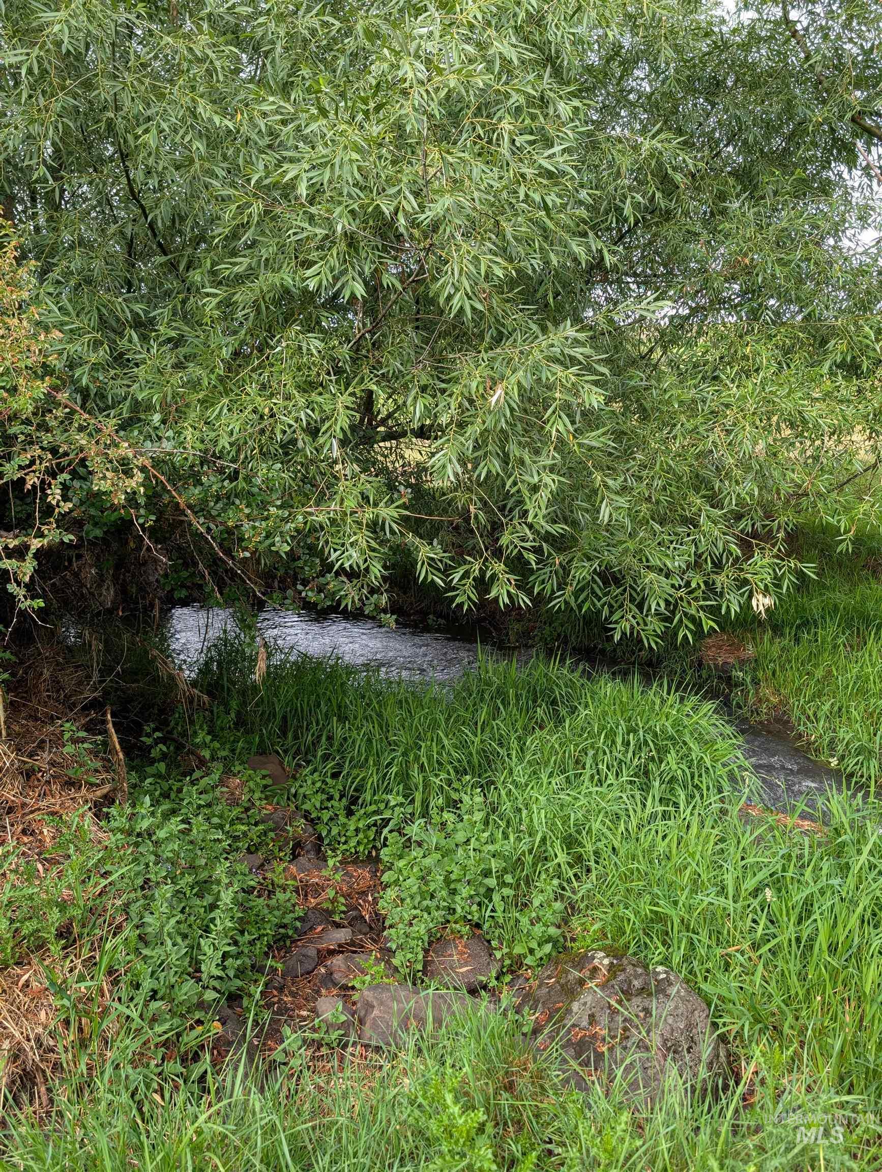 137 Angus Ranch Road, Grangeville, Idaho 83539, 5 Bedrooms, 3 Bathrooms, Residential For Sale, Price $1,200,000,MLS 98953545