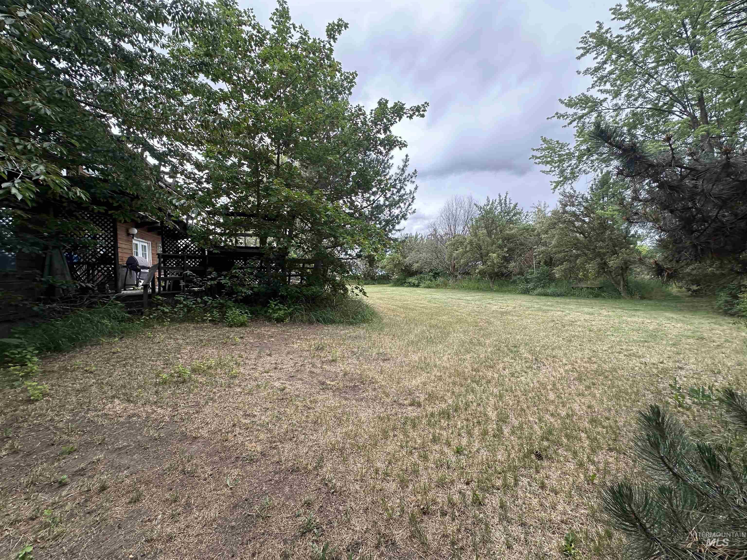 811 Florence Avenue, Craigmont, Idaho 83523, 4 Bedrooms, 4 Bathrooms, Residential For Sale, Price $499,900, 98953898