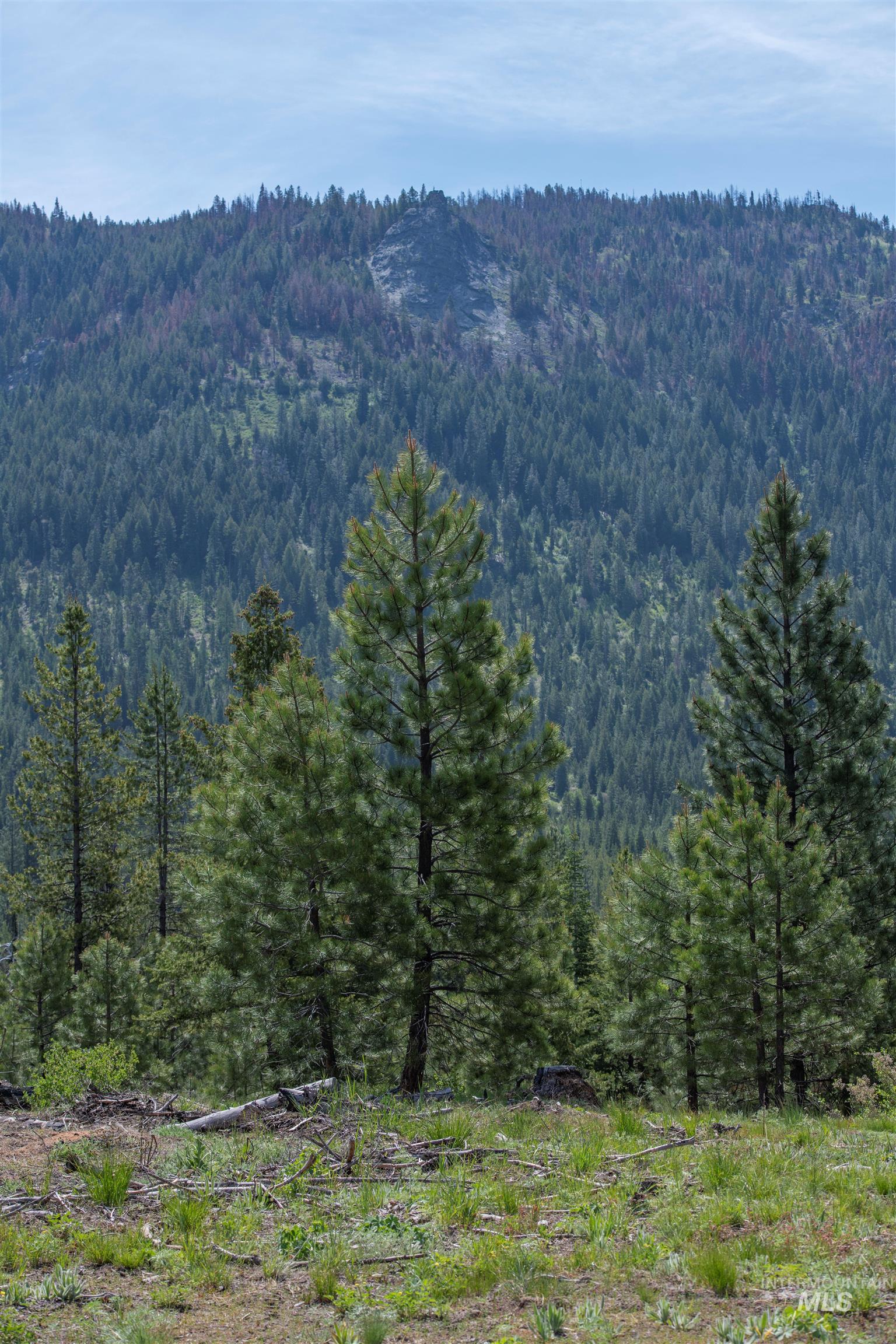 TBD 2 Warm Lake Road, Cascade, Idaho 83611, Land For Sale, Price $1,959,000, 98953903