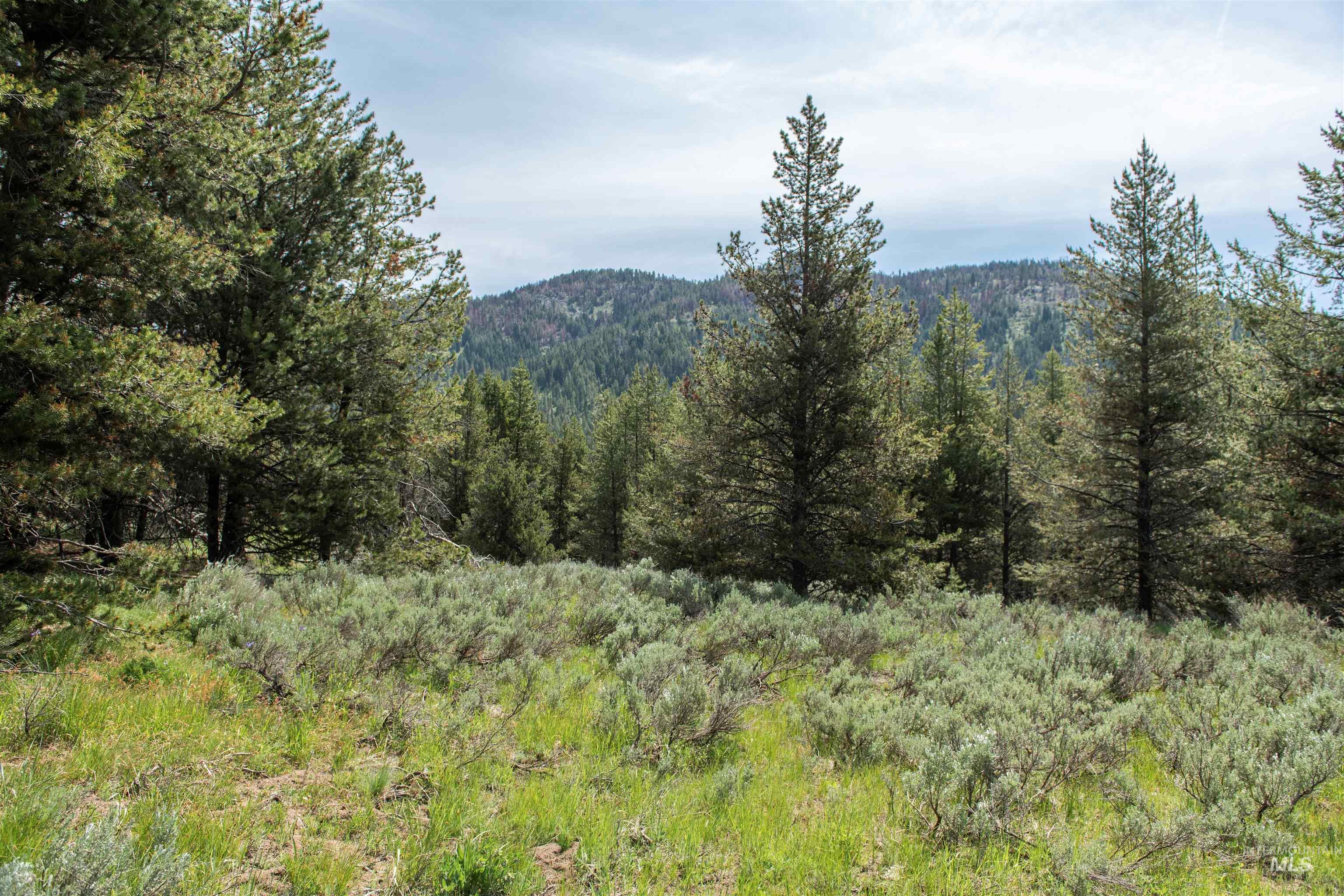 TBD 2 Warm Lake Road, Cascade, Idaho 83611, Land For Sale, Price $1,959,000, 98953903