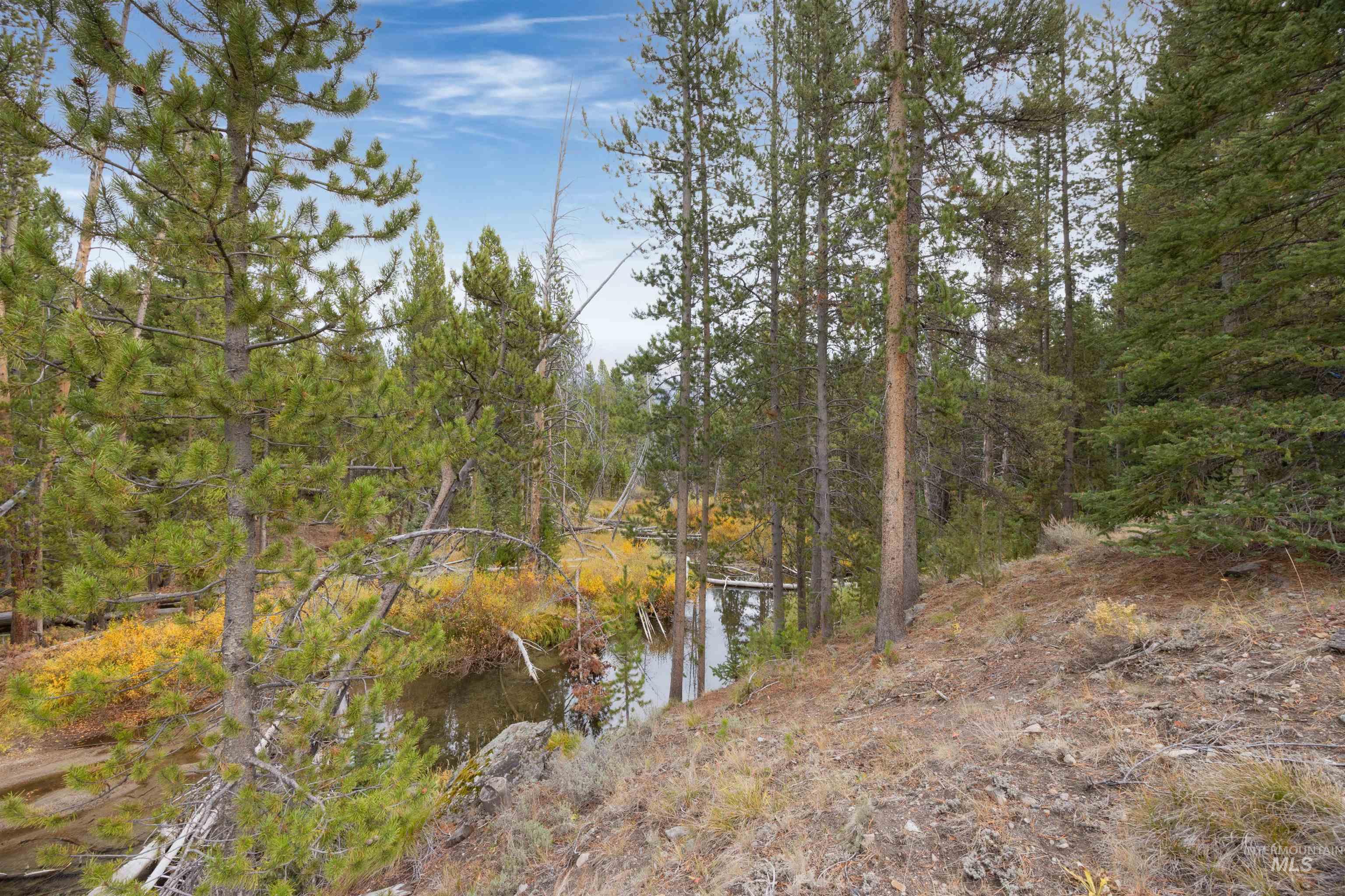 773 Smiley Creek Rd, Sawtooth City, Idaho 83340, Land For Sale, Price $420,000, 98953909