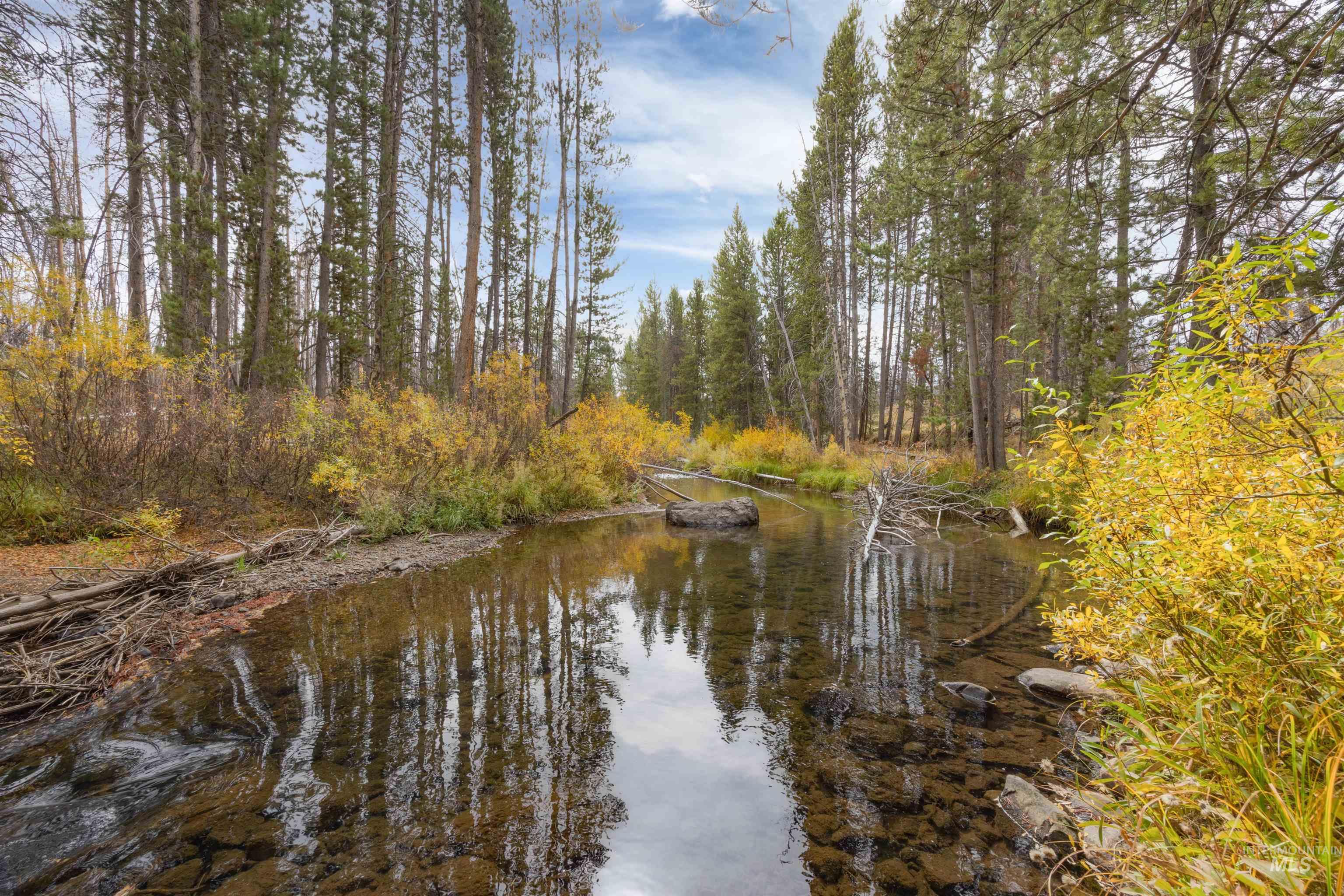 773 Smiley Creek Rd, Sawtooth City, Idaho 83340, Land For Sale, Price $420,000, 98953909