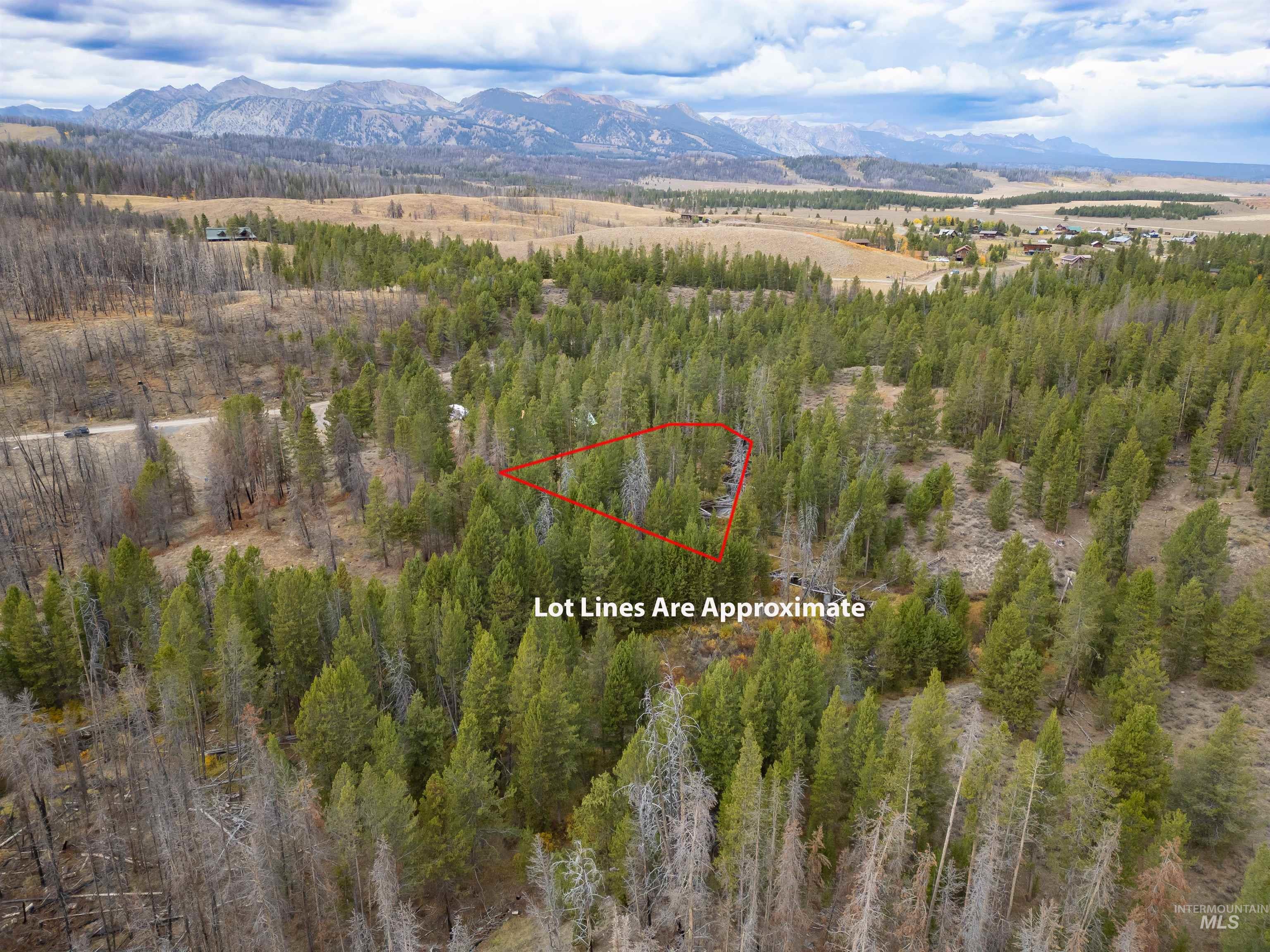 773 Smiley Creek Rd, Sawtooth City, Idaho 83340, Land For Sale, Price $420,000, 98953909