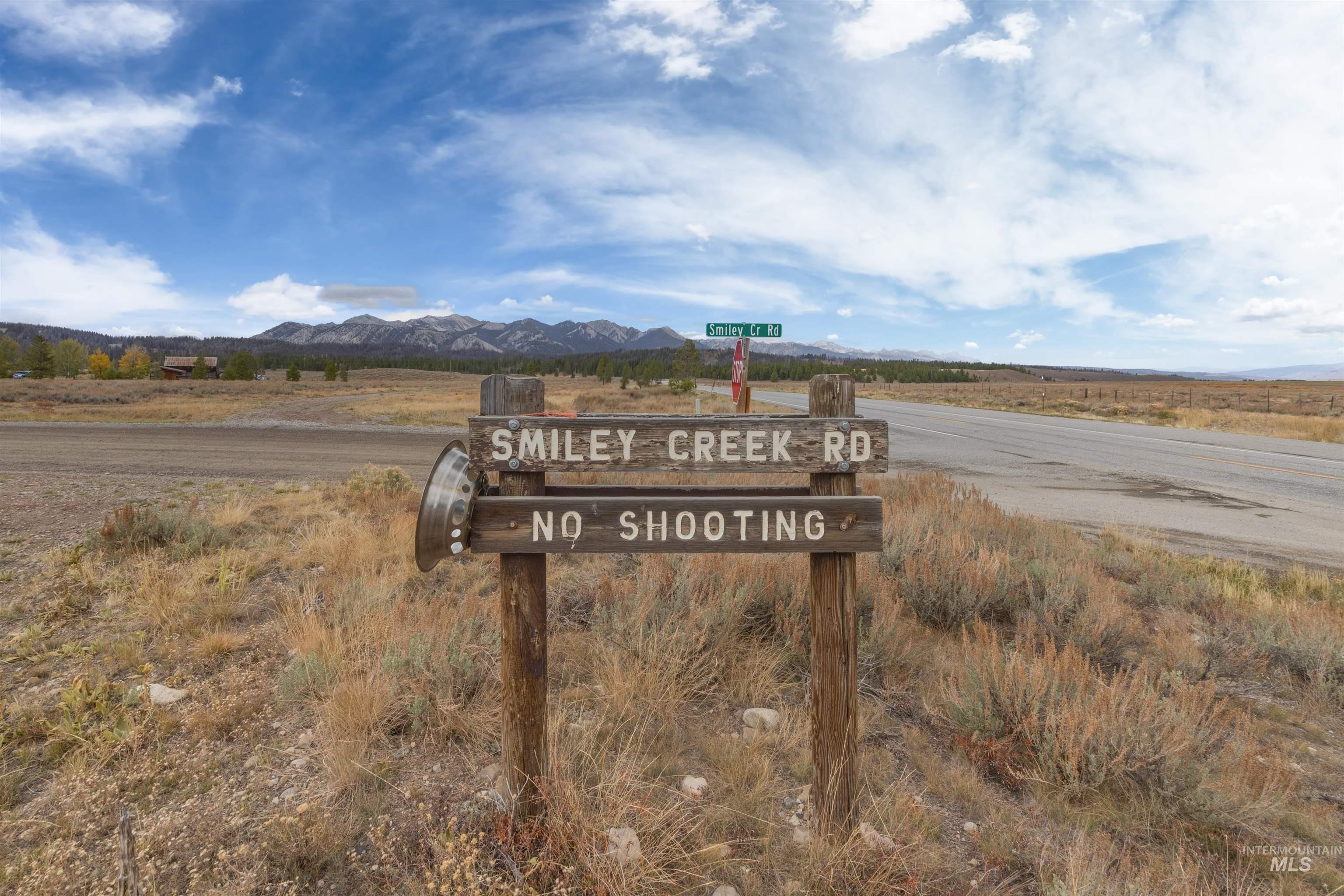 773 Smiley Creek Rd, Sawtooth City, Idaho 83340, Land For Sale, Price $420,000, 98953909