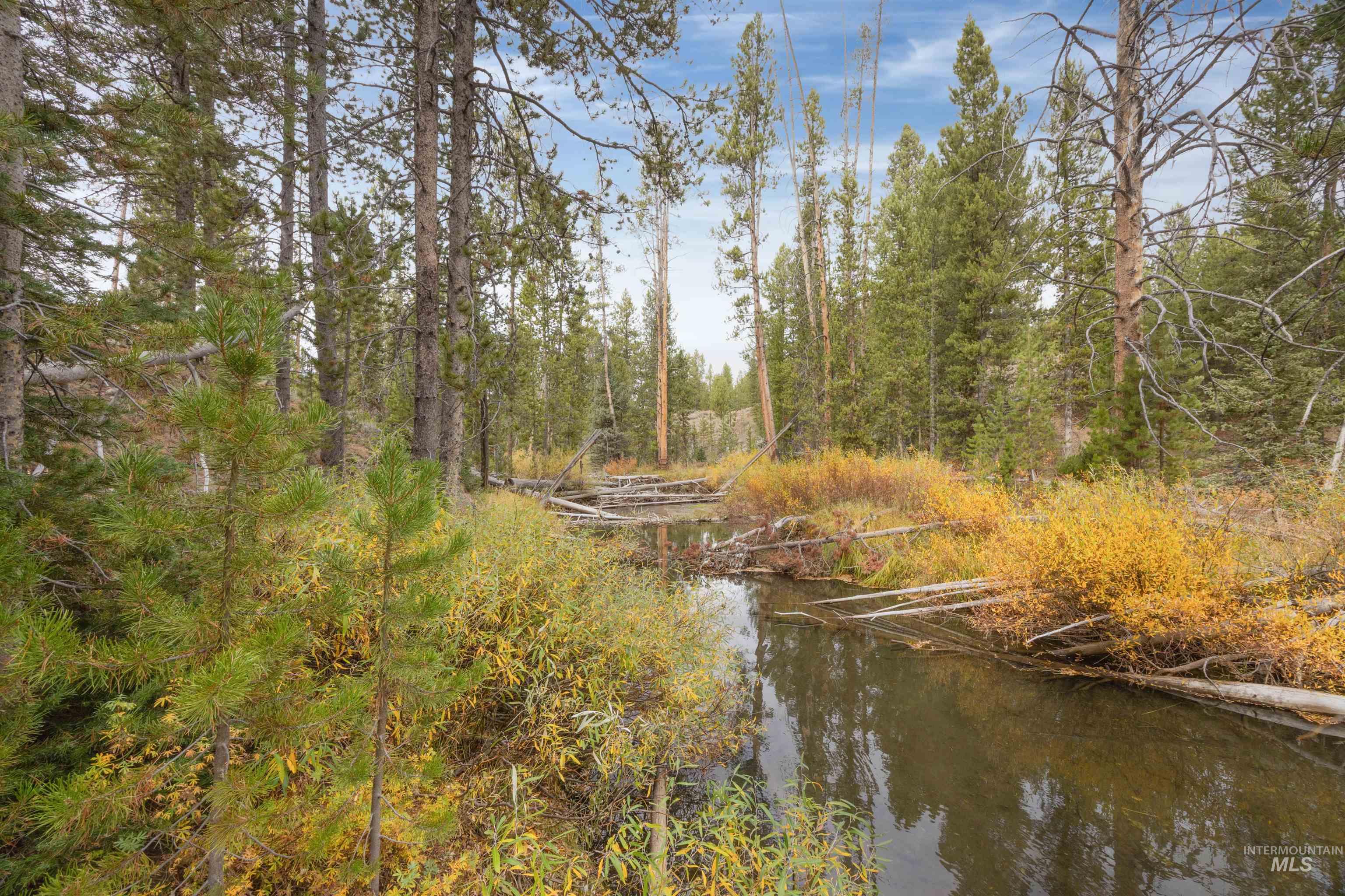 773 Smiley Creek Rd, Sawtooth City, Idaho 83340, Land For Sale, Price $420,000, 98953909