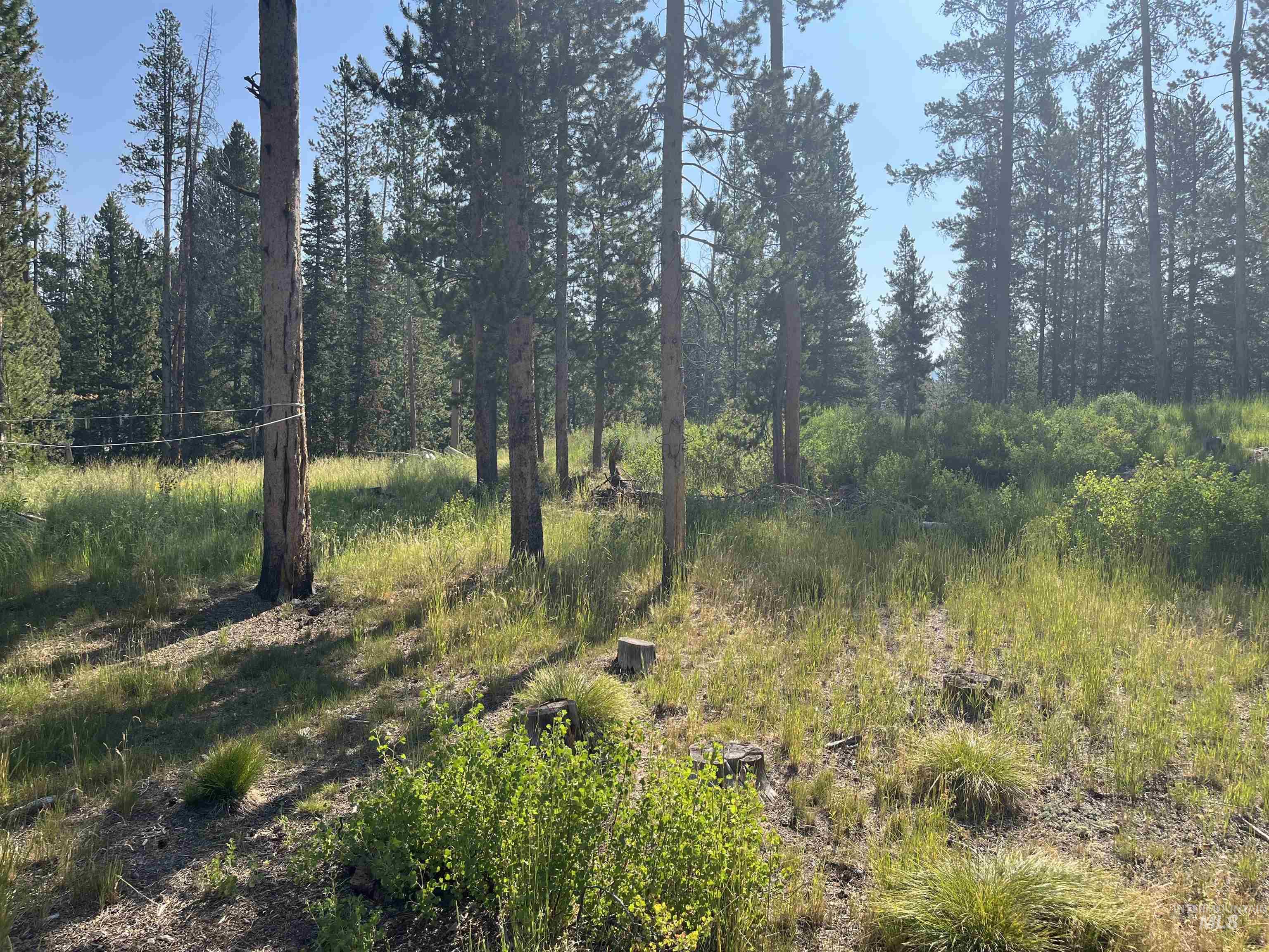 773 Smiley Creek Rd, Sawtooth City, Idaho 83340, Land For Sale, Price $420,000, 98953909