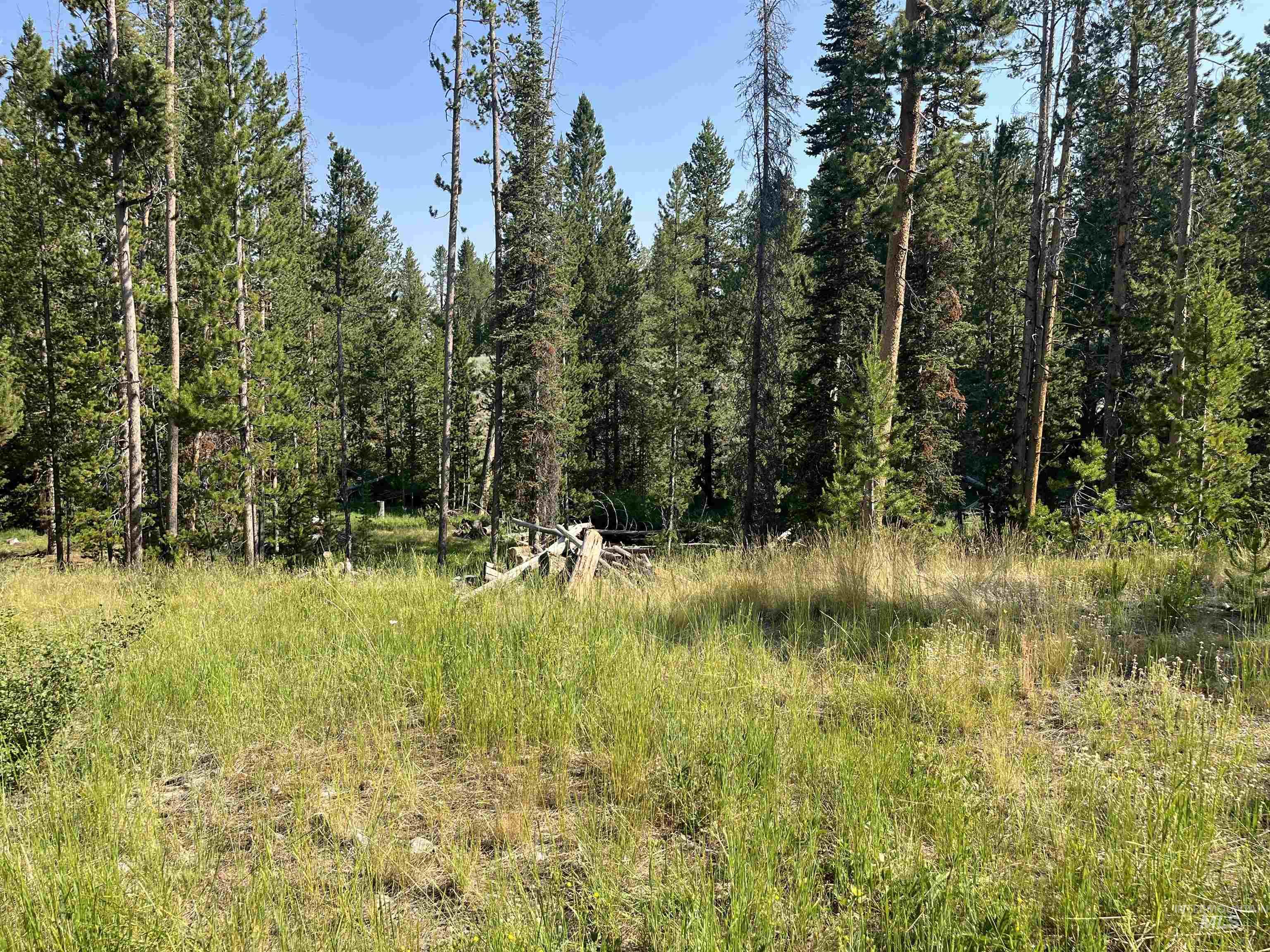 773 Smiley Creek Rd, Sawtooth City, Idaho 83340, Land For Sale, Price $420,000, 98953909