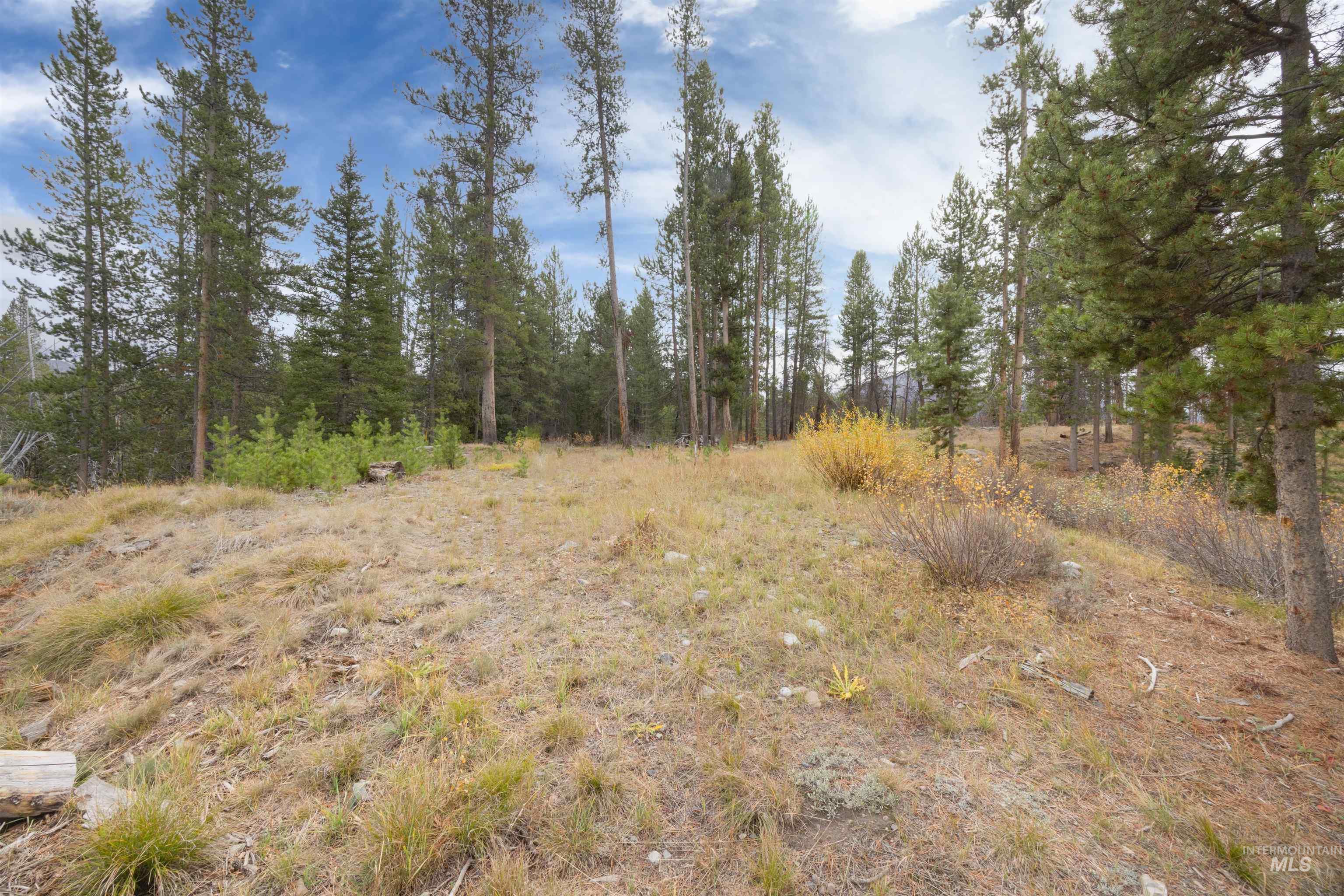 773 Smiley Creek Rd, Sawtooth City, Idaho 83340, Land For Sale, Price $420,000, 98953909