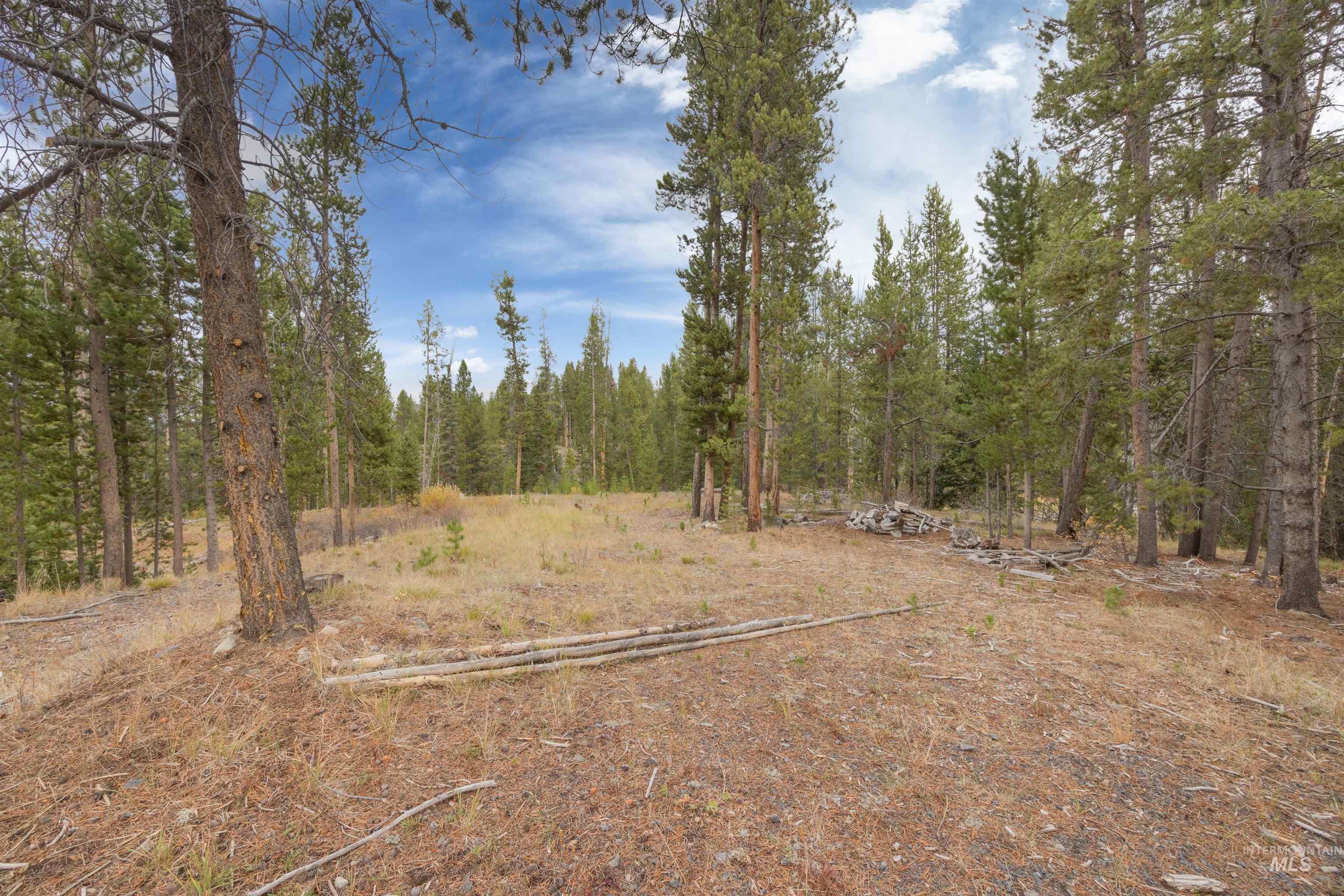 773 Smiley Creek Rd, Sawtooth City, Idaho 83340, Land For Sale, Price $420,000, 98953909