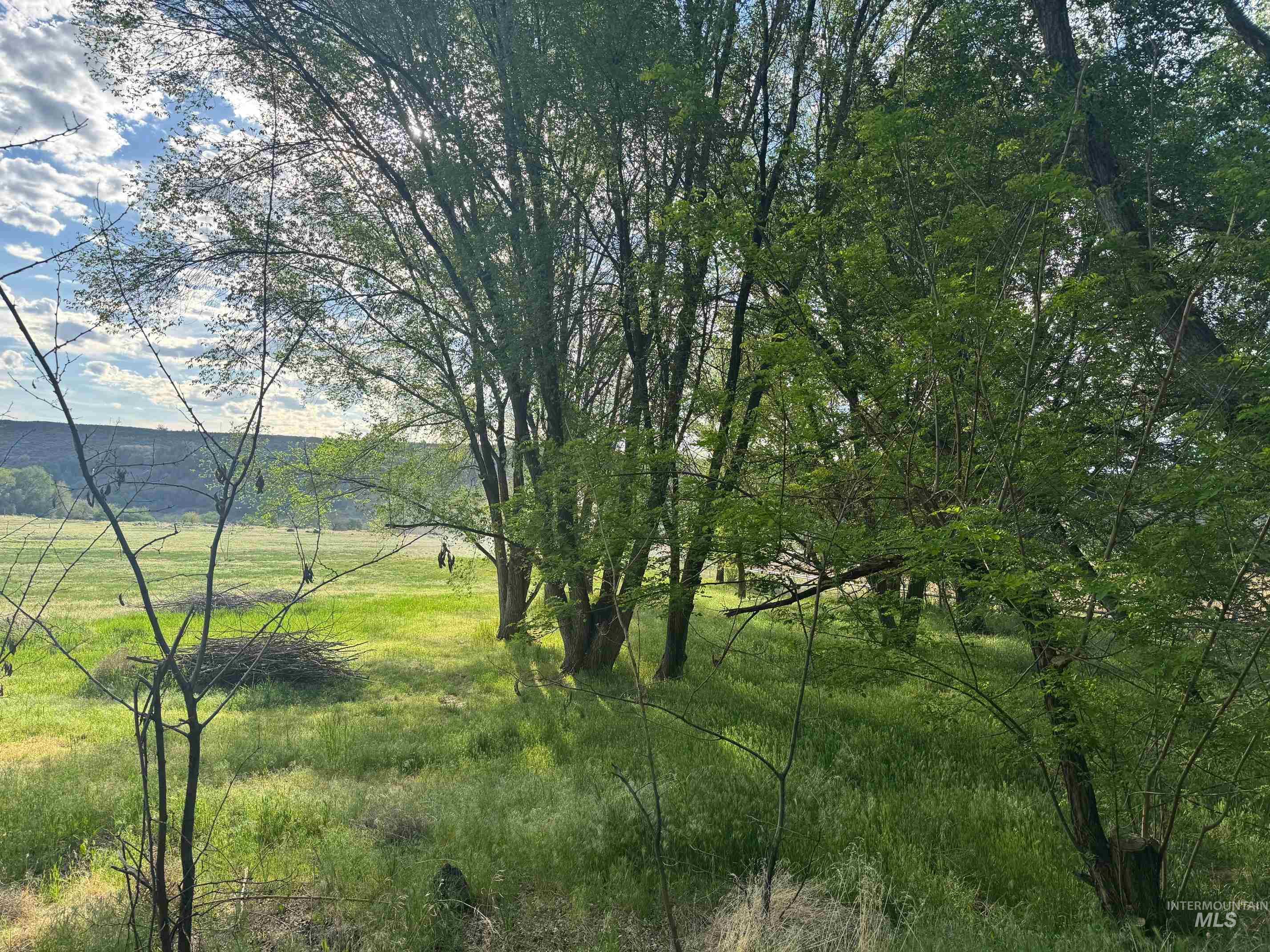 1105 East 4796 North, Buhl, Idaho 83316, Land For Sale, Price $325,000,MLS 98954019