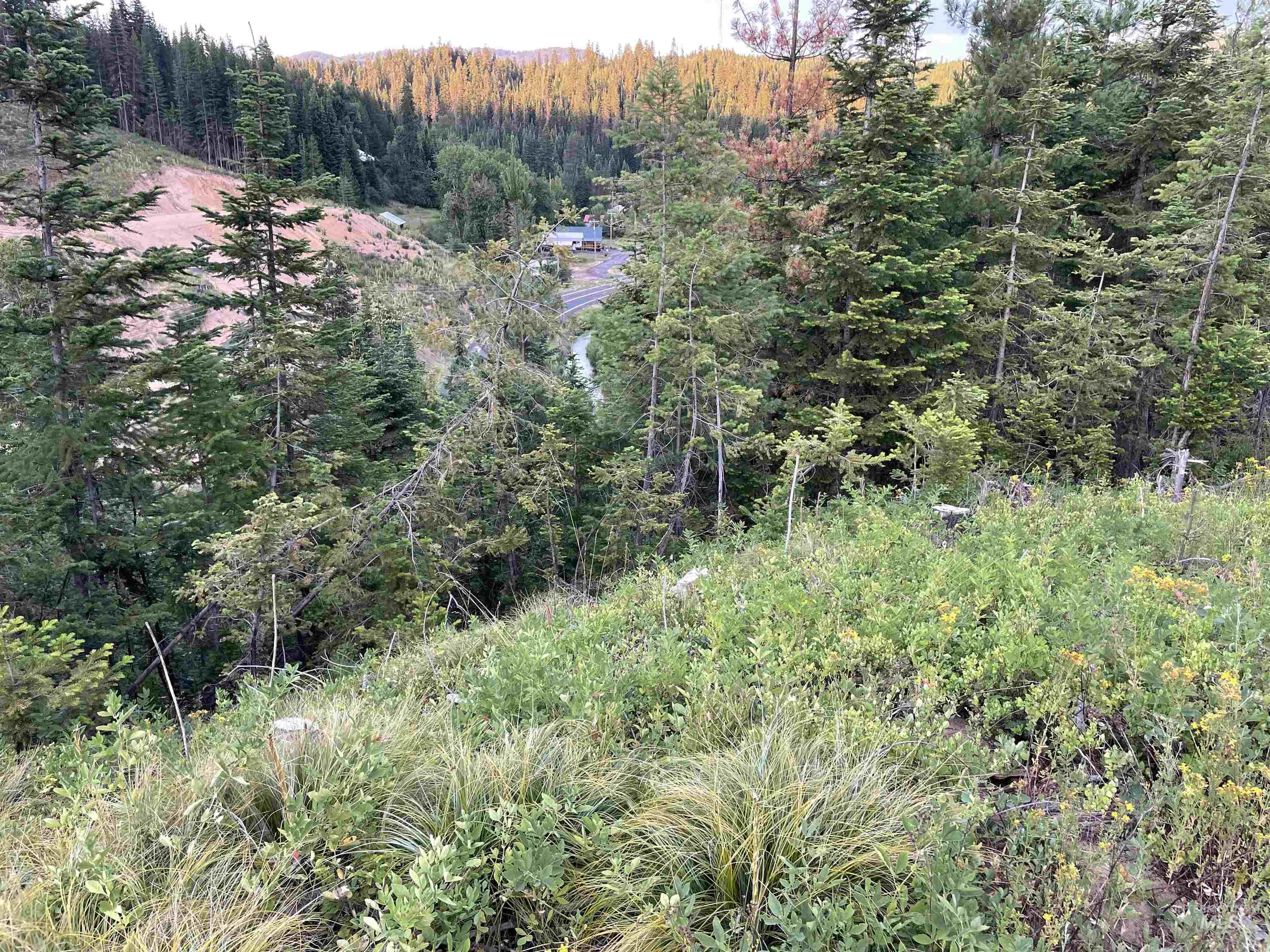 0 Highway 11, Pierce, Idaho 83546, Land For Sale, Price $415,000,MLS 98954091